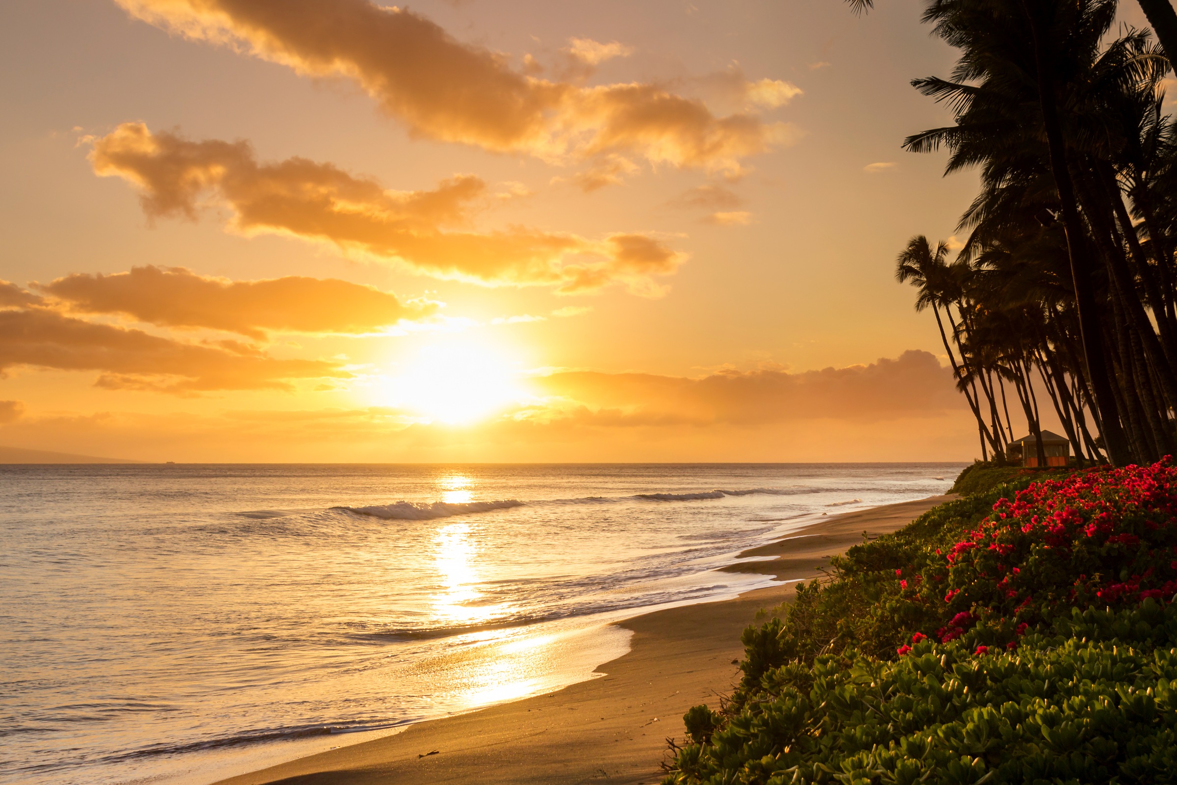 Image of Papermoon Fototapete »Tropical Sunset Kaanapali Beach« bei Ackermann Versand Schweiz