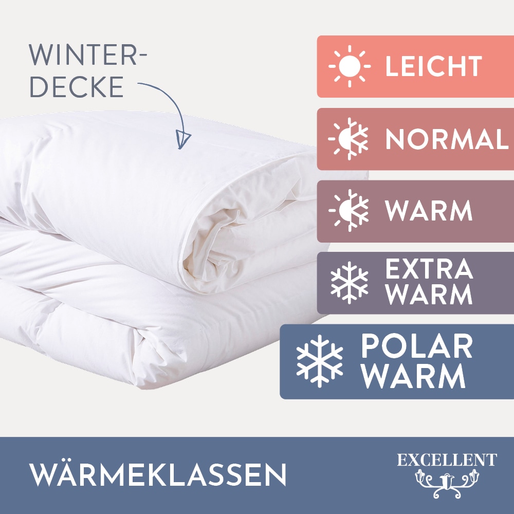 Excellent Daunenbettdecke »Überraschungsbox«, polarwarm, Füllung 90% Daunen, 10% Federn, Bezug Baumwolle, (1 St.), absoluter Sonderpreis, wegen Lagerräumung, Solange der Vorrat reicht