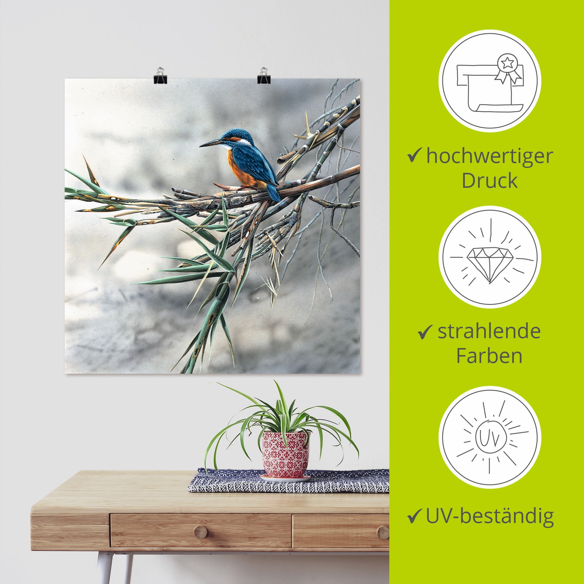 Artland Wandbild »Eisvogel I«, Vögel, (1 St.), als Leinwandbild, Poster, Wandaufkleber in verschied. Grössen