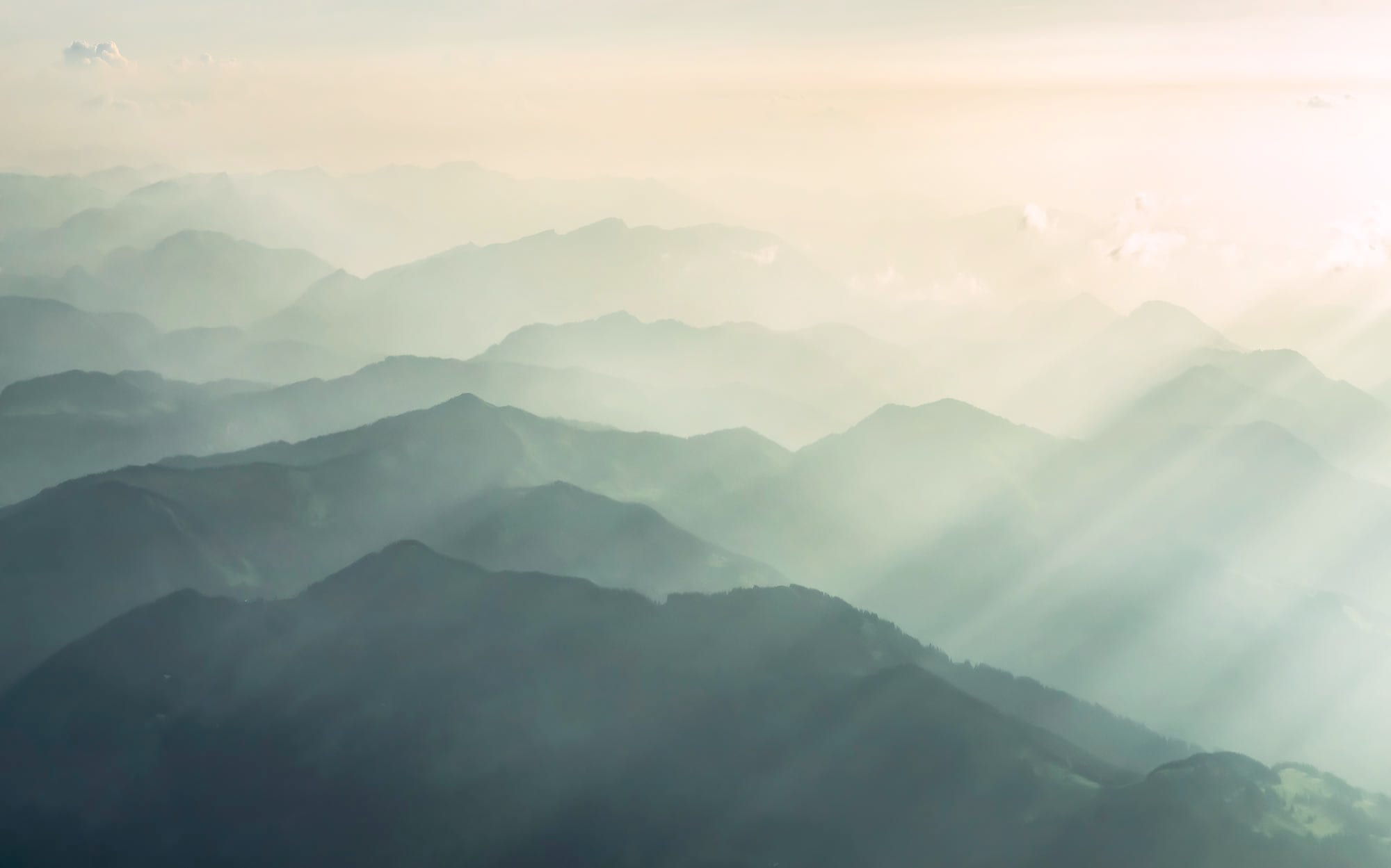 Image of Komar Fototapete "Digitaldruck Vlies - Hazy Hills - Grösse 400 x 250 cm" bedruckt floral geblümt gemustert tropisch glatt Wohnzimmer, Schlafzimmer
