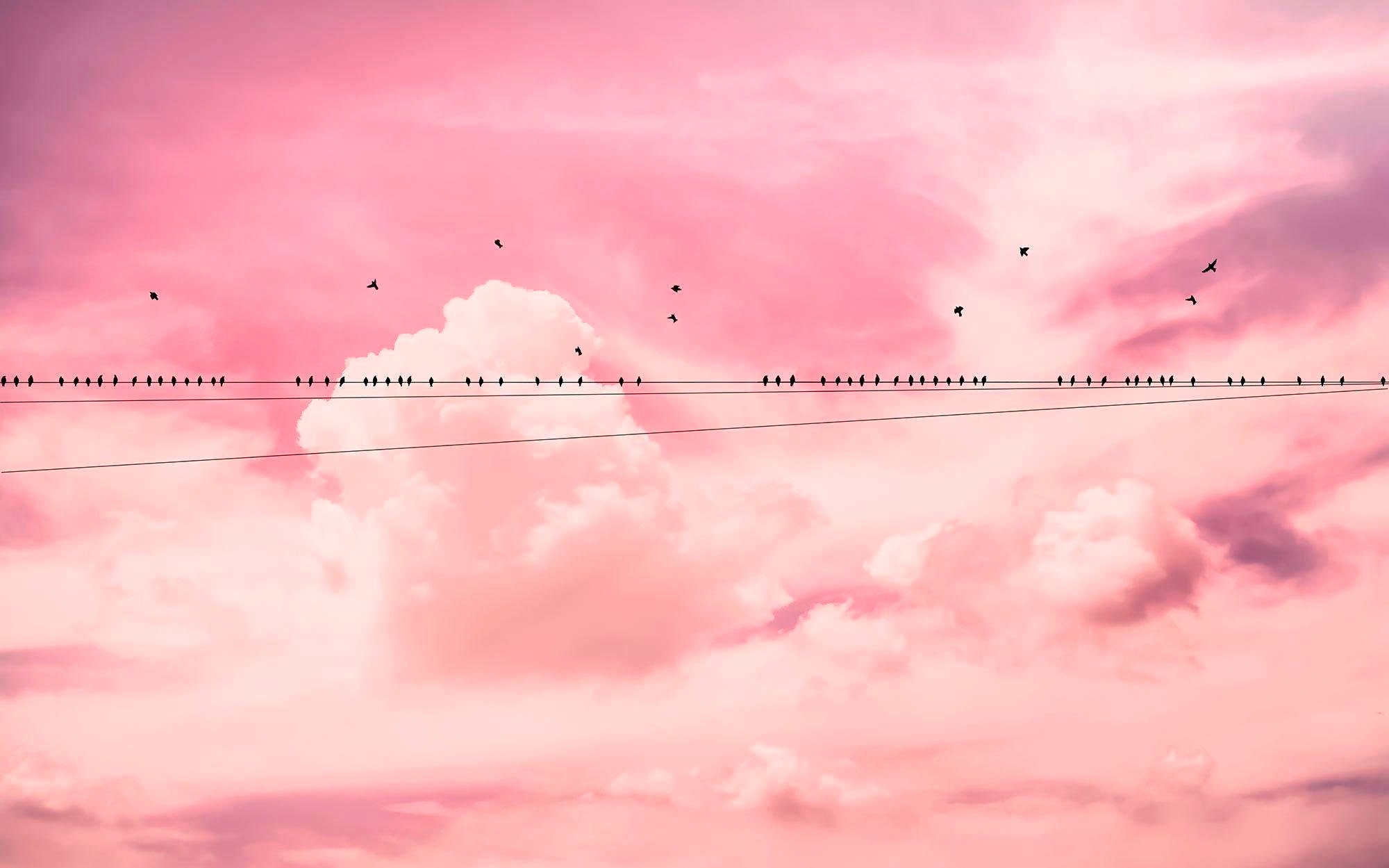 Image of Komar Vliestapete »Pure Cloud Wire«, naturalistisch bei Ackermann Versand Schweiz