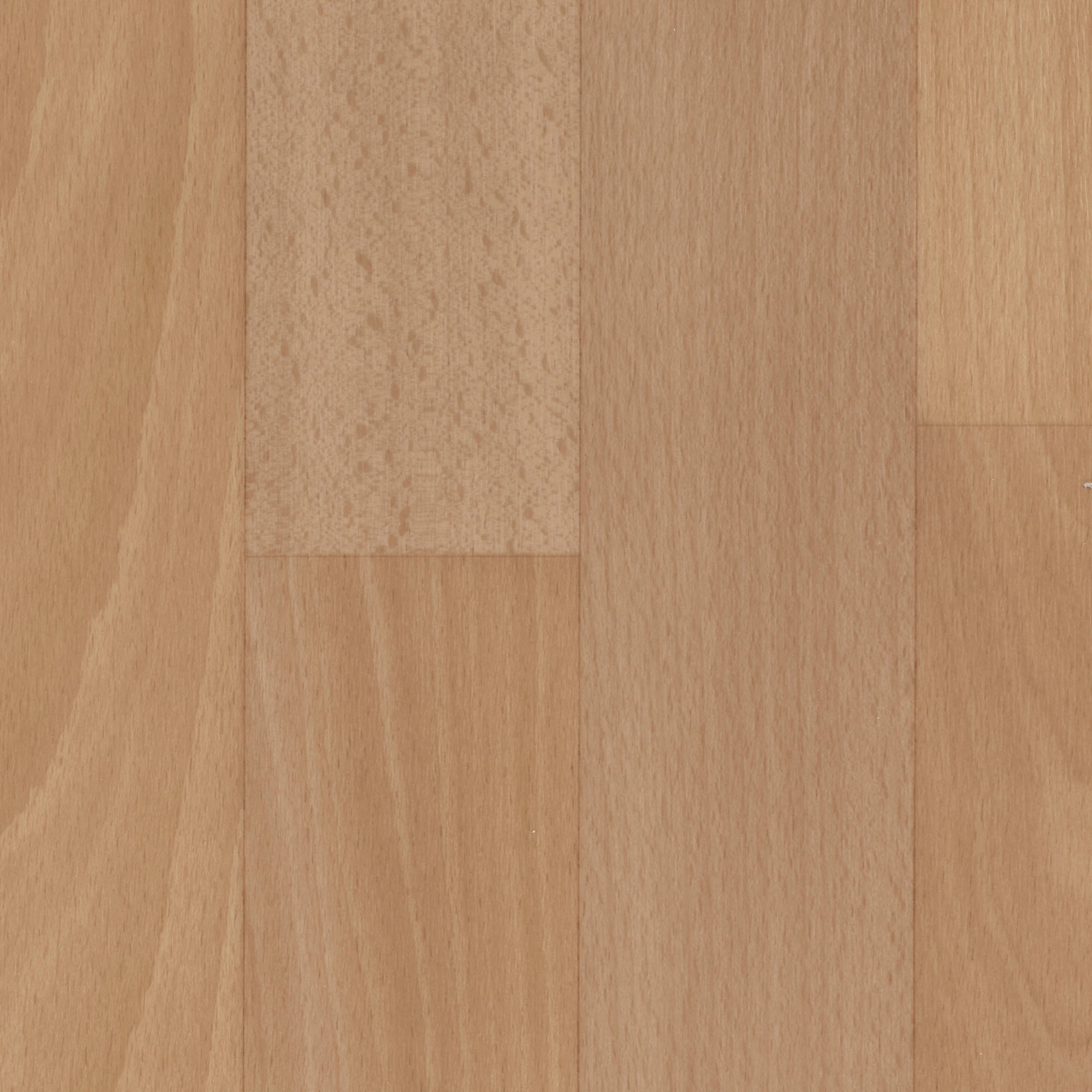 Image of Bodenmeister Vinylboden »PVC Bodenbelag Holzoptik Schiffsboden Buche hell«, Meterware, Breite 200/300/400 cm bei Ackermann Versand Schweiz