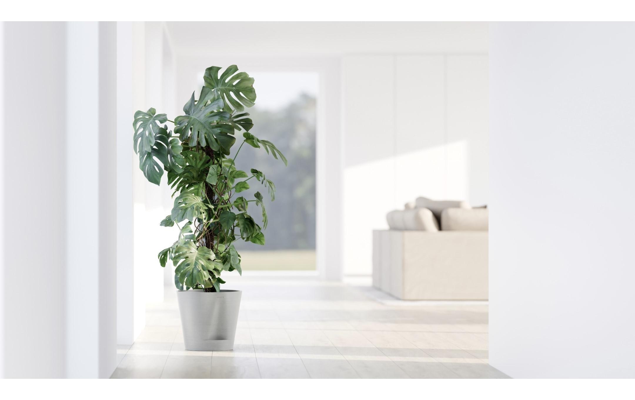 ECOPOTS Pot de fleurs »Venice 2 30 Weissgrau« für den Innenbereich