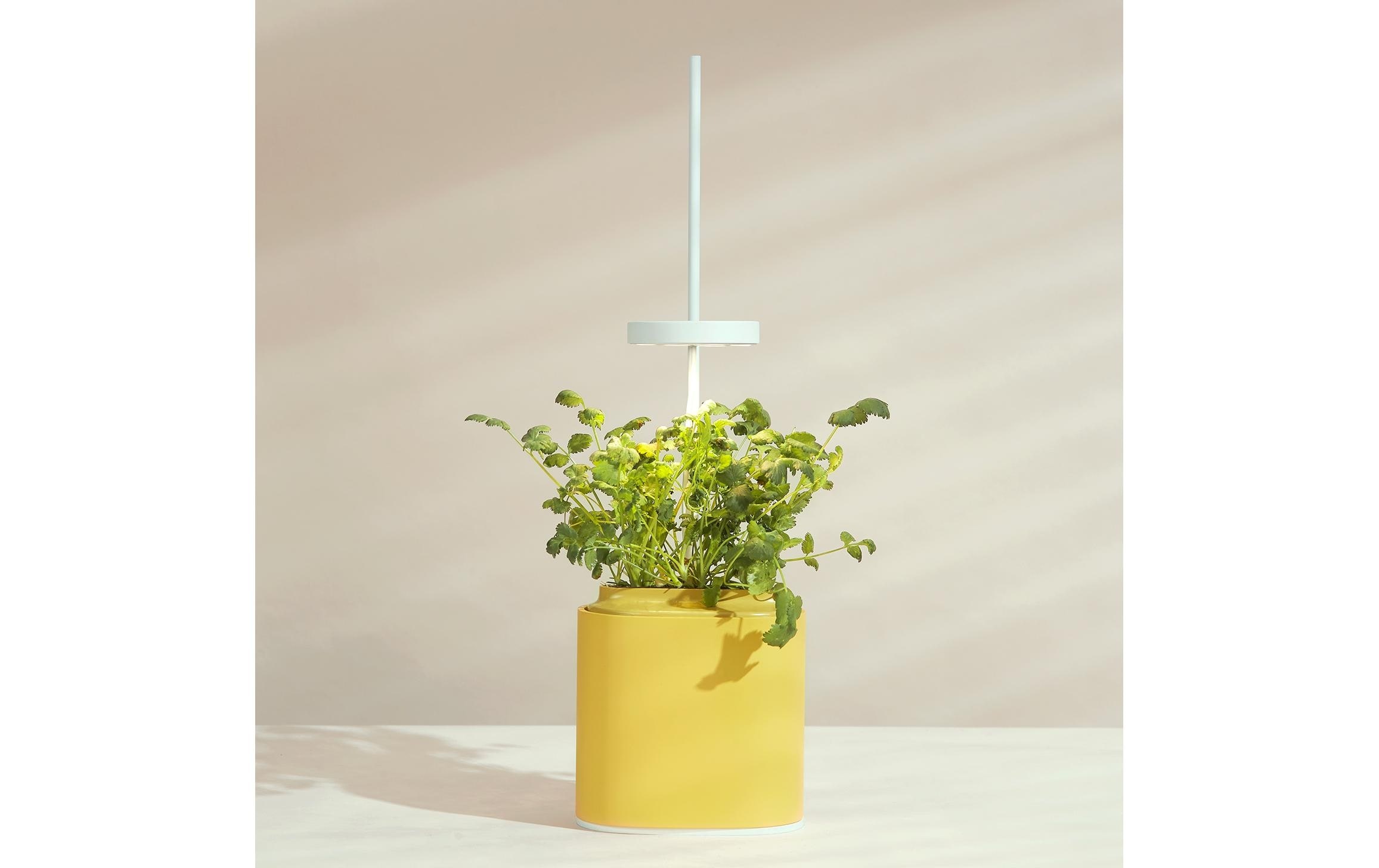 Kräutertopf »Prêt à Pousser Nano«