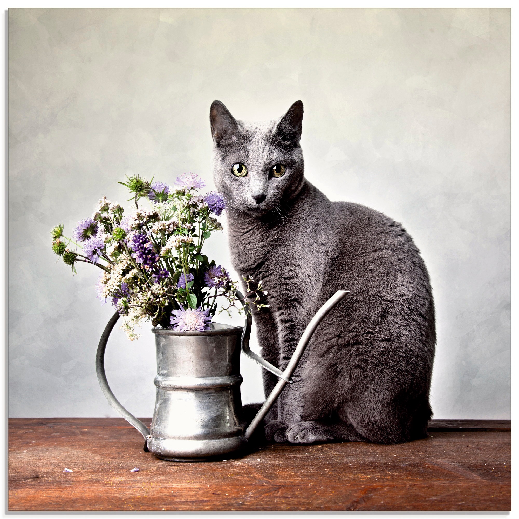 Image of Artland Glasbild »Katze mit Deko«, Haustiere, (1 St.) bei Ackermann Versand Schweiz