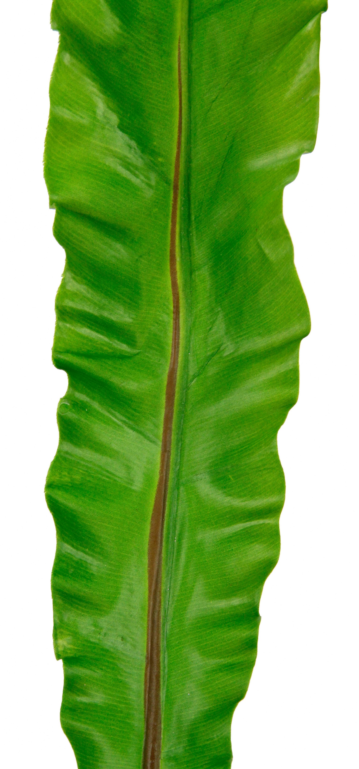 I.GE.A. Plante artificielle »Nestfarnblatt« Monstera, Kunstzweig, 3er Set