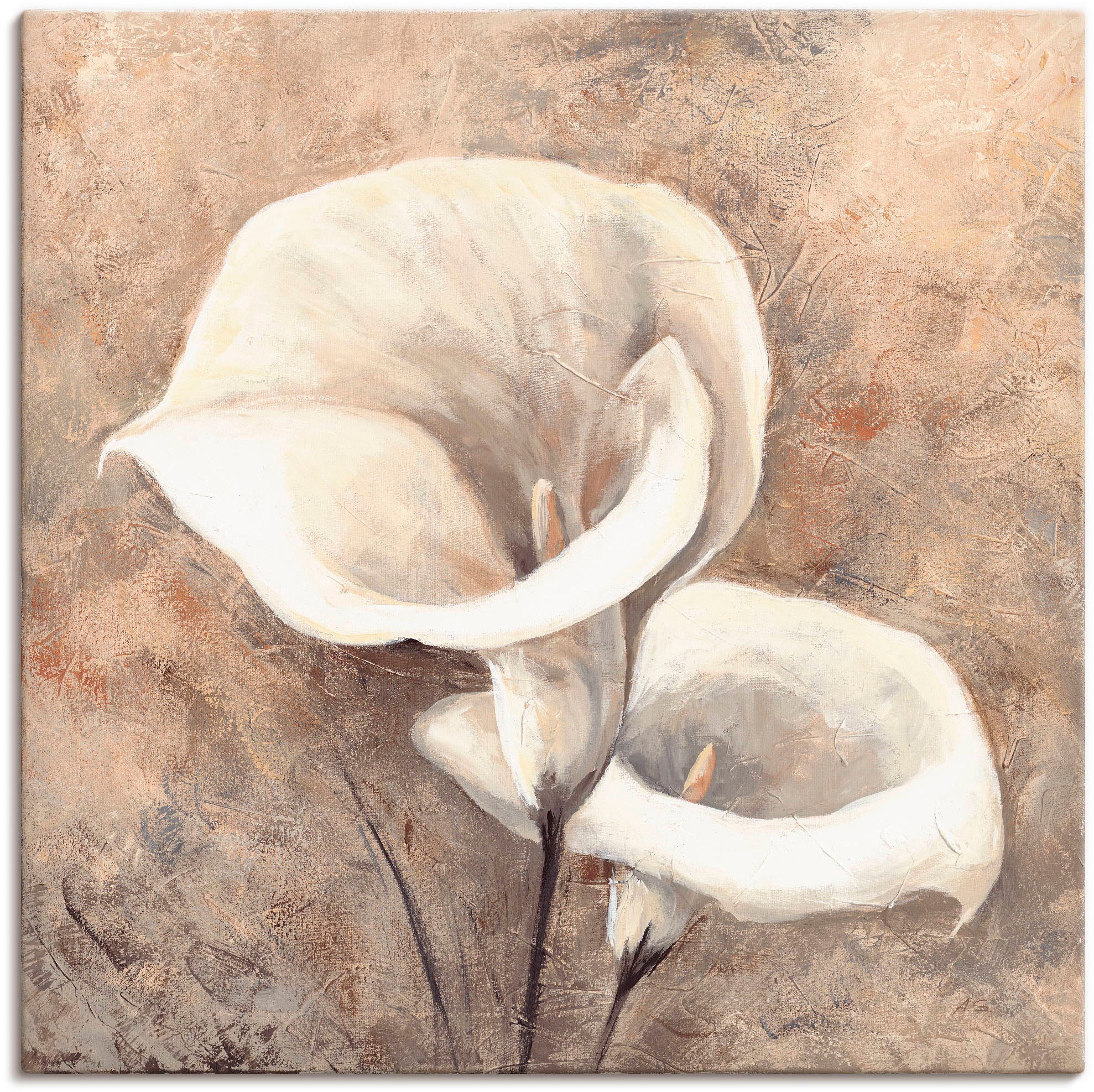 Image of Artland Leinwandbild "Klassische Callas" Blumen 1 Stk. tlg. auf Holzrahmen gespannt