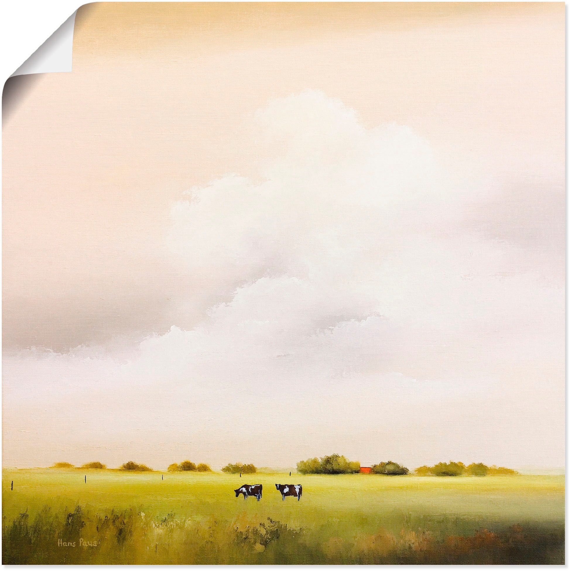 Image of Artland Wandbild »Kühe I«, Felder, (1 St.), in vielen Grössen & Produktarten -Leinwandbild, Poster, Wandaufkleber / Wandtattoo auch für Badezimmer geeignet bei Ackermann Versand Schweiz