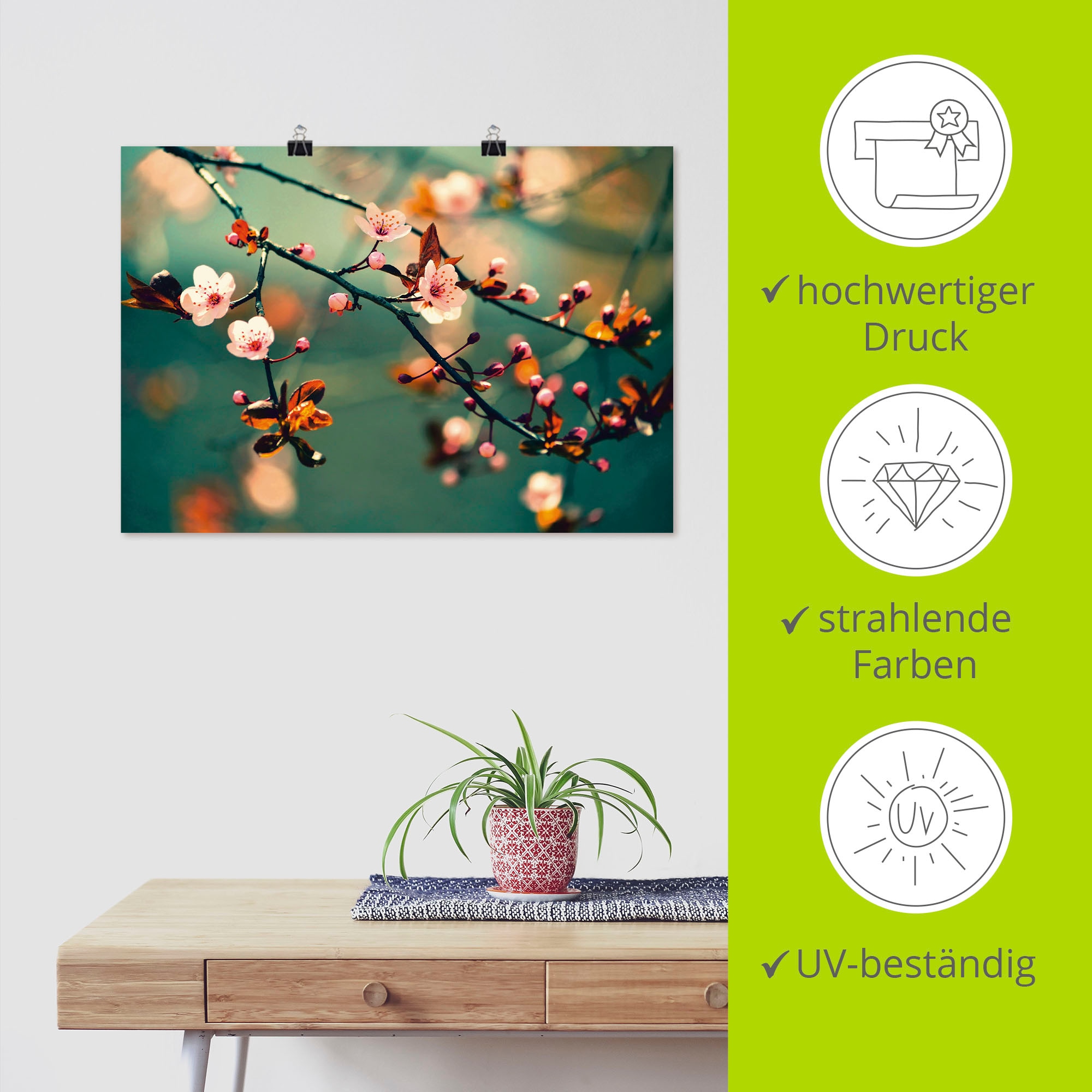 Artland Wandbild »Japanische Kirsch Sakura Blumen« 1 Stk. tlg. als Leinwandbild, Poster in verschied. Grössen