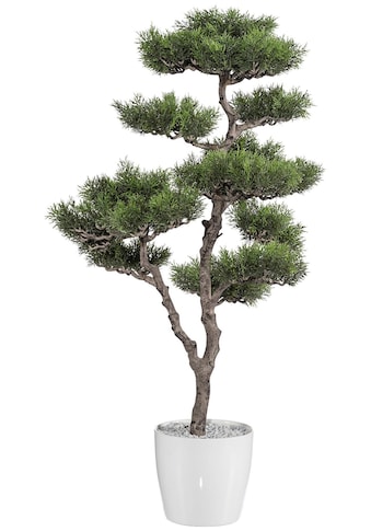 Creativ green Kunstbaum »Bonsai Zeder«, (1 St.), im Kunststofftopf kaufen