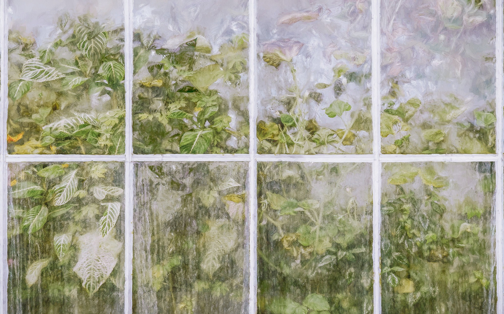 Image of Komar Fototapete "Digitaldruck Vlies - Secret Stash - Grösse 400 x 250 cm" bedruckt floral geblümt gemustert tropisch glatt Wohnzimmer, Schlafzimmer