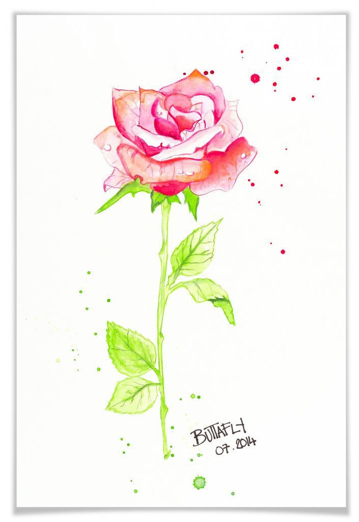 Image of Wall-Art Poster »Rose«, Blumen, (1 St.), Poster, Wandbild, Bild, Wandposter bei Ackermann Versand Schweiz