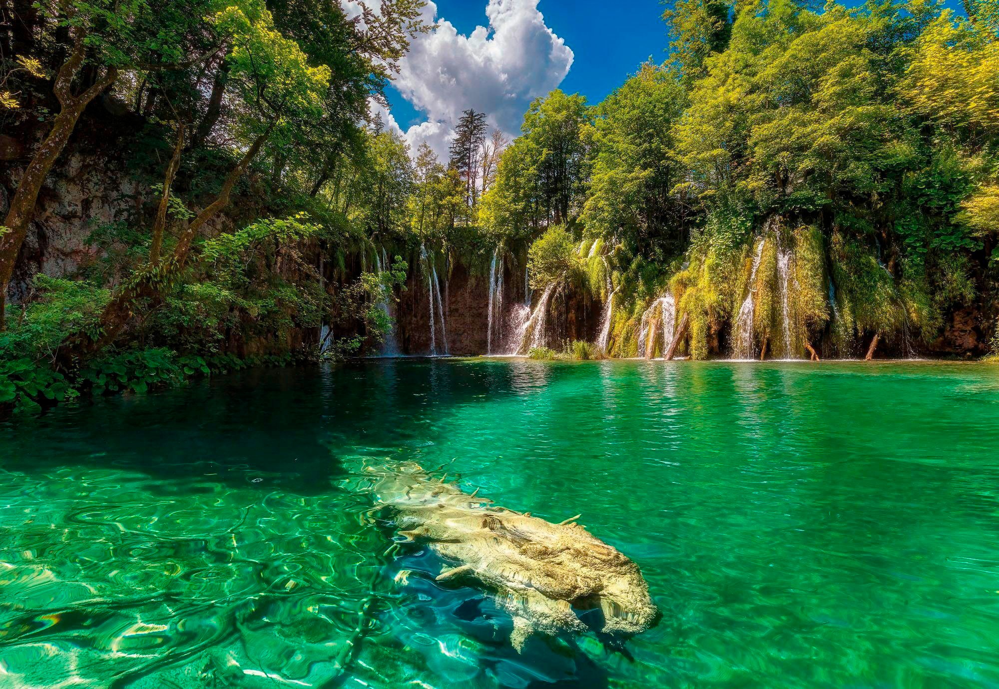 Image of Komar Fototapete »Eden Falls«, bedruckt-Wald-Meer, ausgezeichnet lichtbeständig bei Ackermann Versand Schweiz