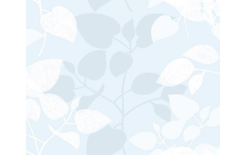 Image of d-c-fix Fensterfolie "Amena 67.5 x 150 cm"