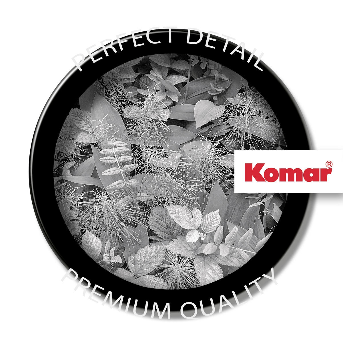Komar Papier peint photo »Papier Fototapete - Forest Floor - Grösse 368 x 254 cm« imprimé