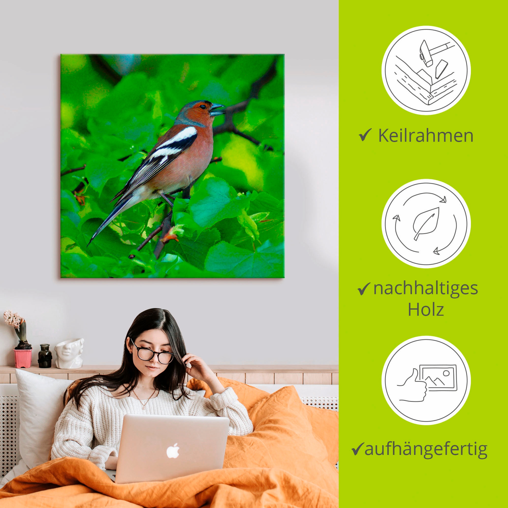 Artland Wandbild »Buchfink Lied«, Vögel, (1 St.), als Leinwandbild, Poster in verschied. Grössen