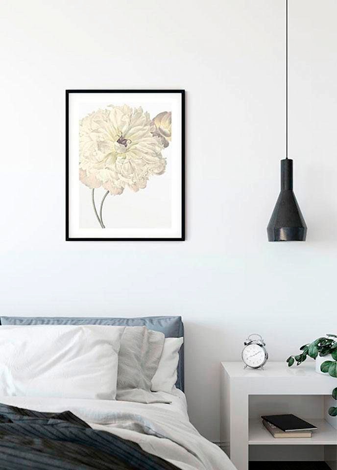 Komar Poster »Illustration Dahlia«, Blumen, confortablement Wohnzimmer acheter Kinderzimmer, (1 Schlafzimmer, St.)