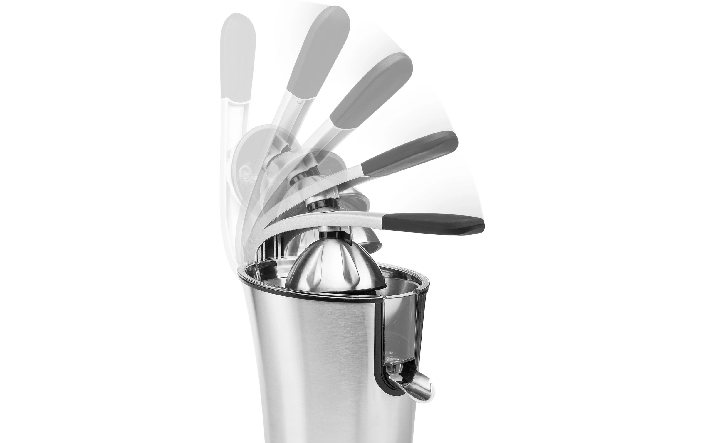 PRINCESS Entsafter »201860 Master Juicer Pro«, 300 W