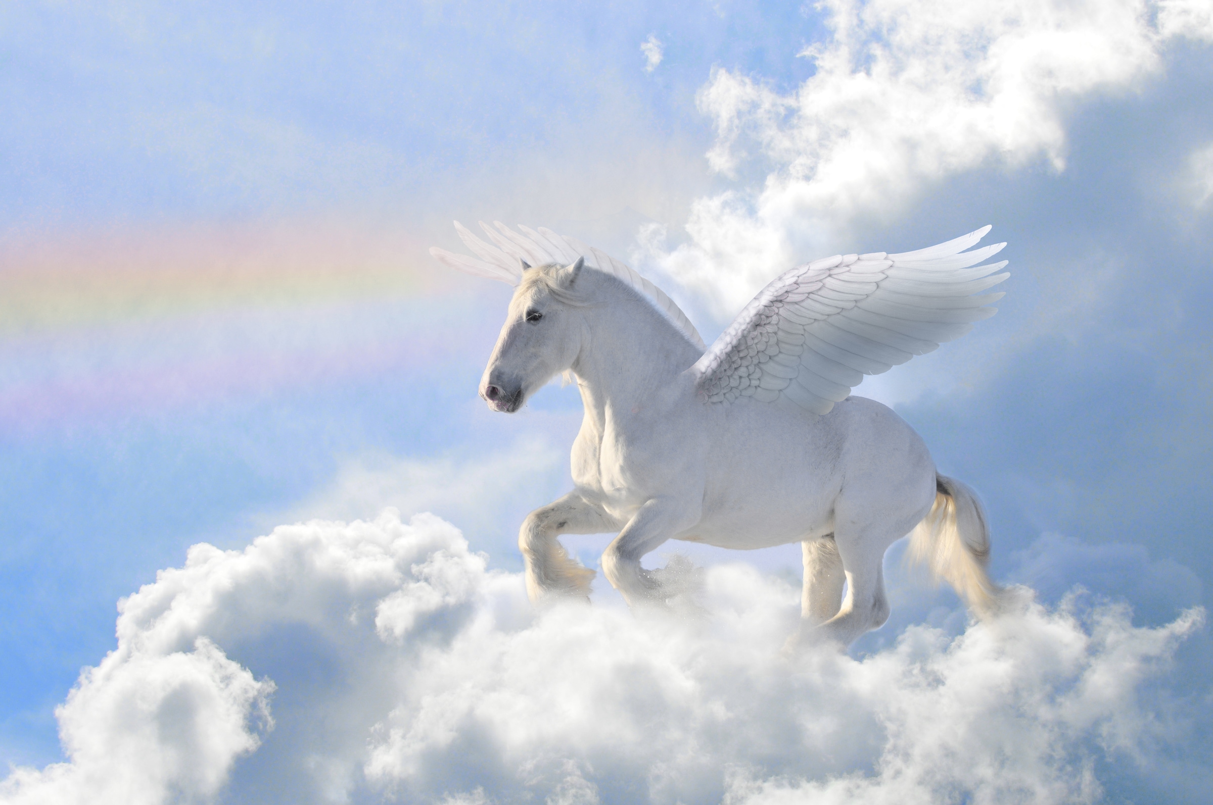 Fototapete »Pegasus in the Clouds«