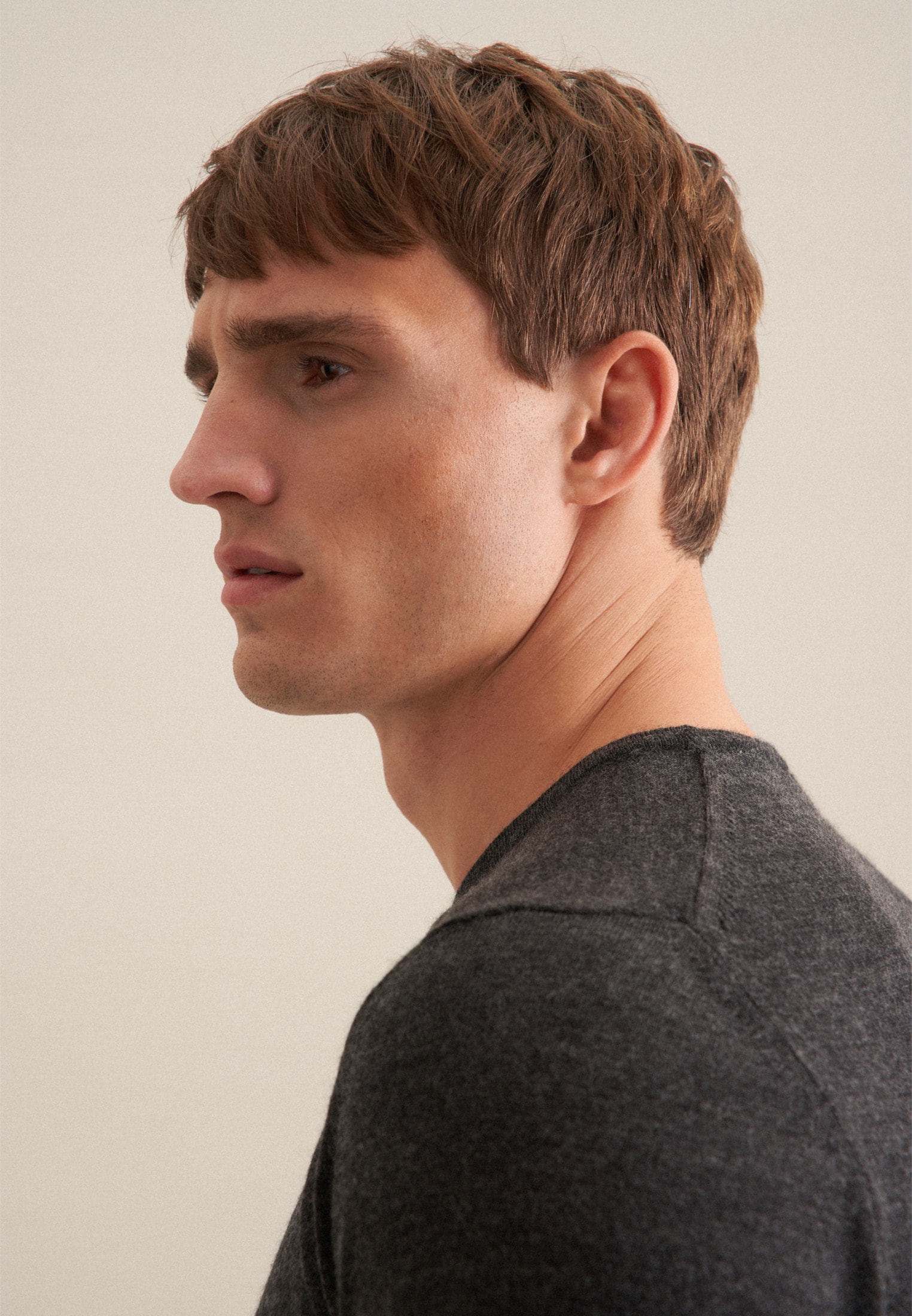 seidensticker Pull-over Rundhals Uni