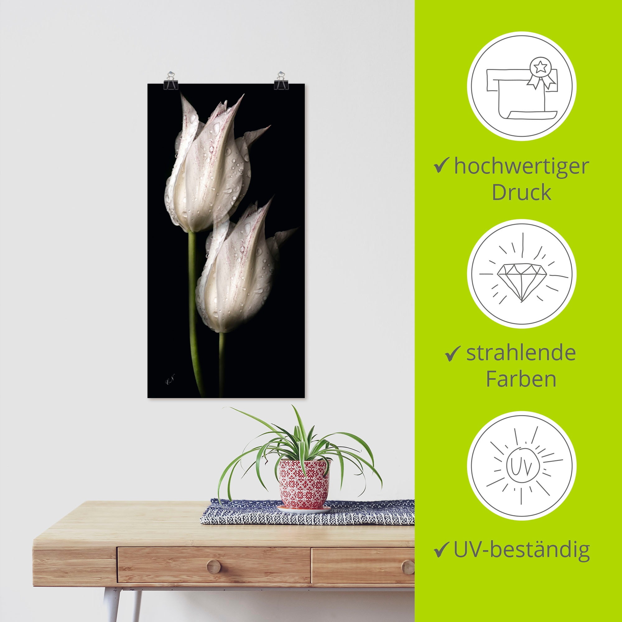 Artland Wandbild »Weisse Tulpen in der Nacht«, Blumenbilder, (1 St.), als Alubild, Outdoorbild, Leinwandbild, Poster, Wandaufkleber
