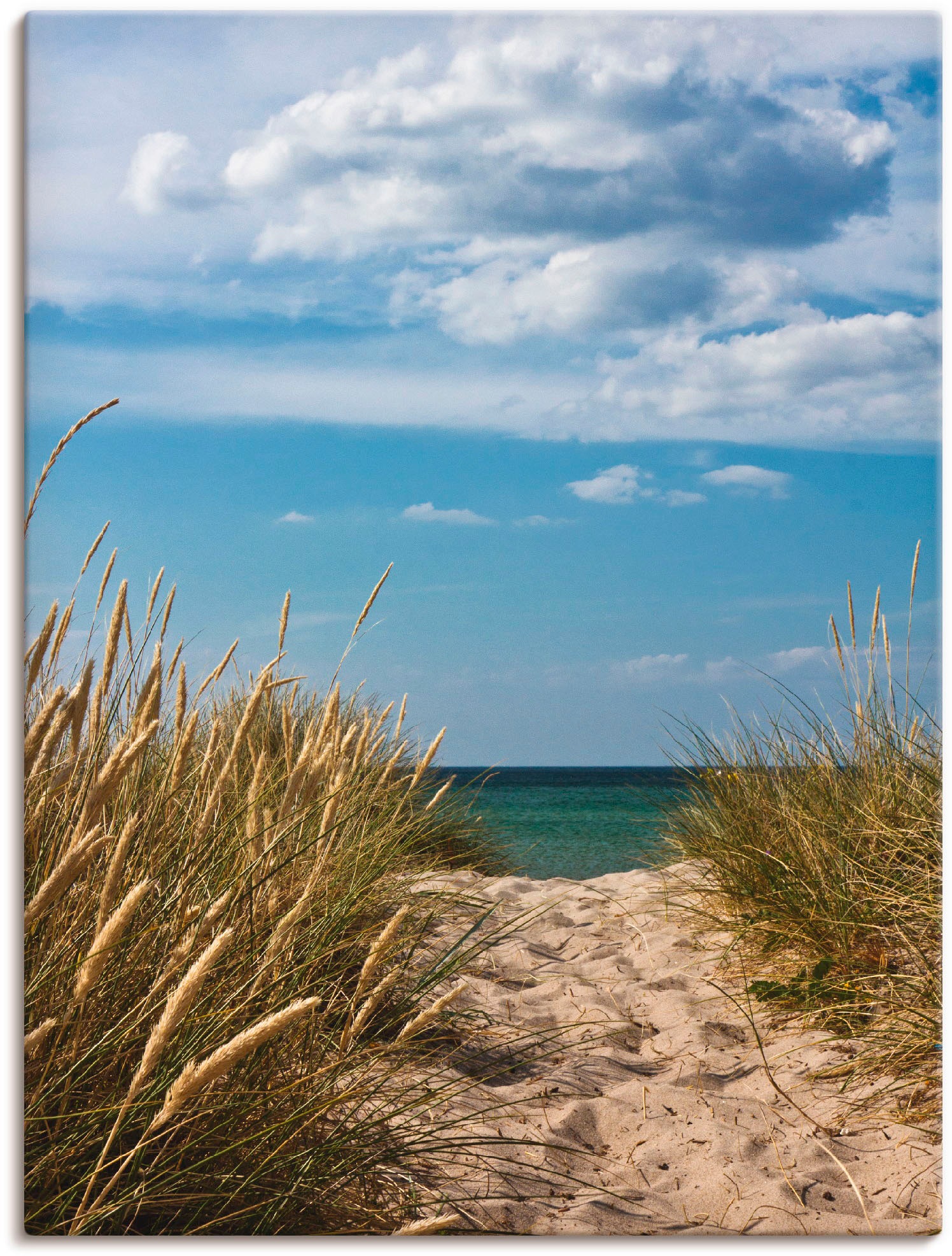 Image of Artland Wandbild »Strandzugang an der Ostsee - Dänemark 9«, Strand, (1 St.), in vielen Grössen & Produktarten - Alubild / Outdoorbild für den Aussenbereich, Leinwandbild, Poster, Wandaufkleber / Wandtattoo auch für Badezimmer geeignet bei Ackermann Versan