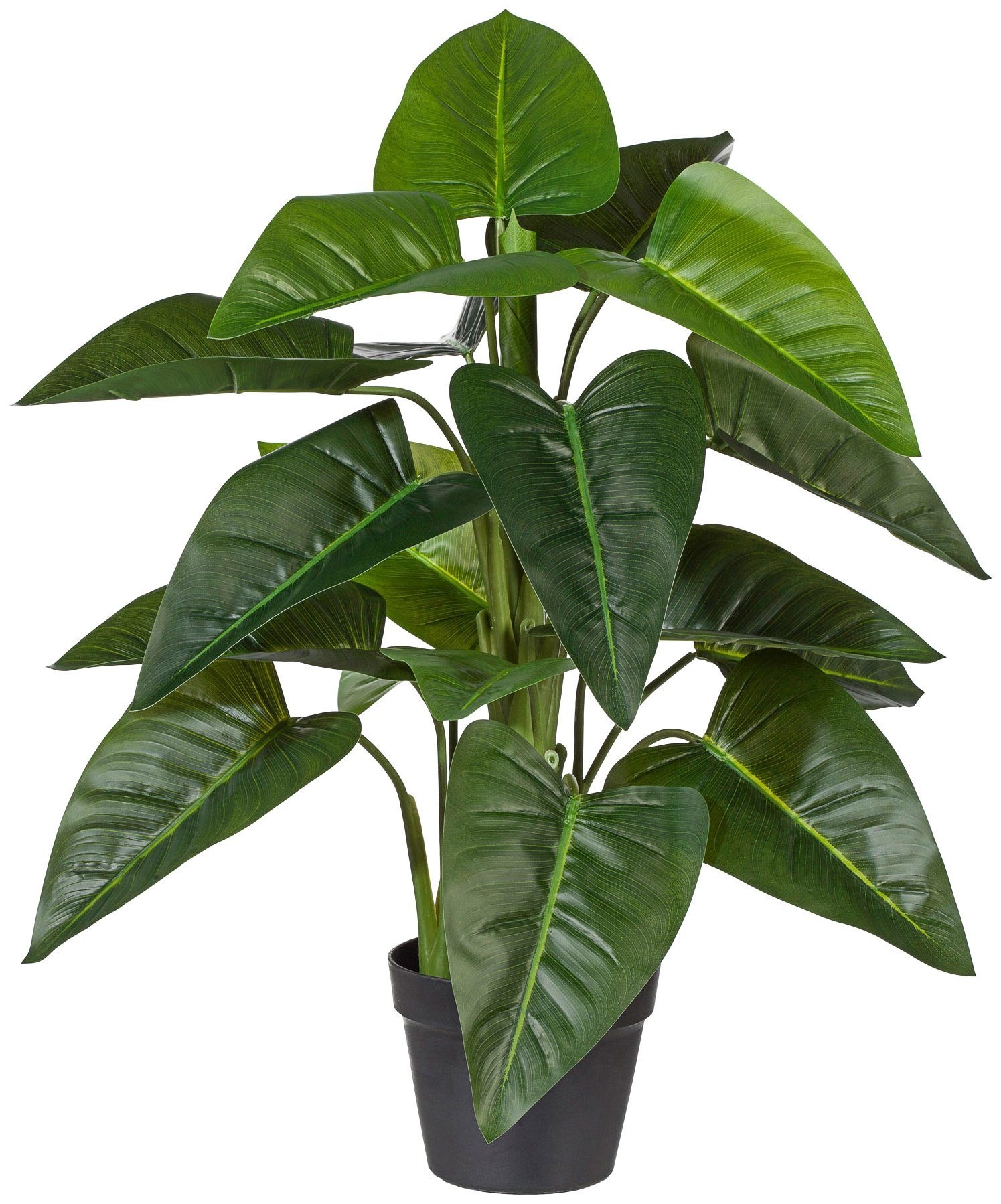 Image of Creativ green Kunstpflanze »Philodendron«, (1 St.), im Kunststofftopf bei Ackermann Versand Schweiz