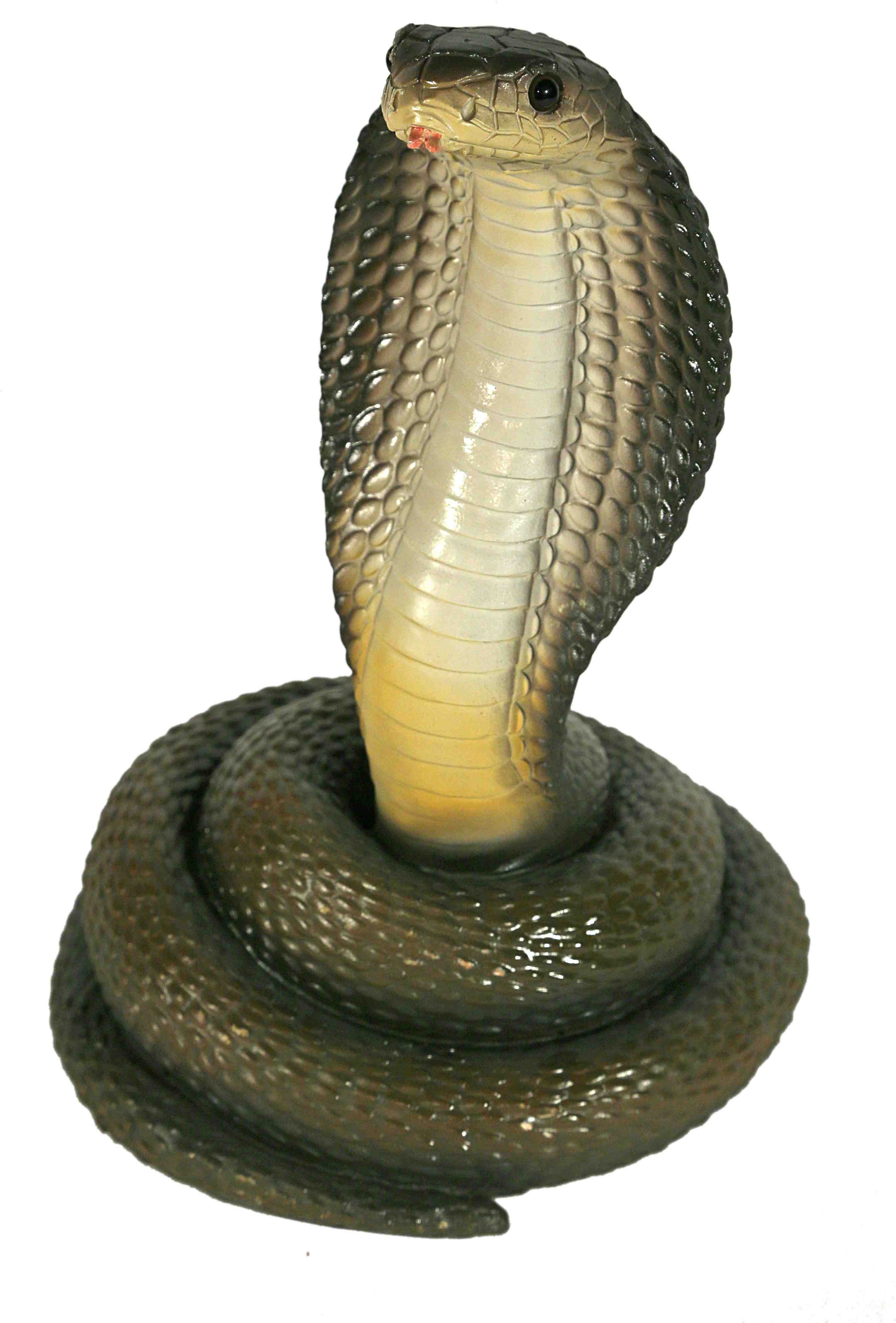 Image of Casa Collection by Jänig Tierfigur »Schlange - Kobra, Höhe ca. 28cm«, (1 St.) bei Ackermann Versand Schweiz