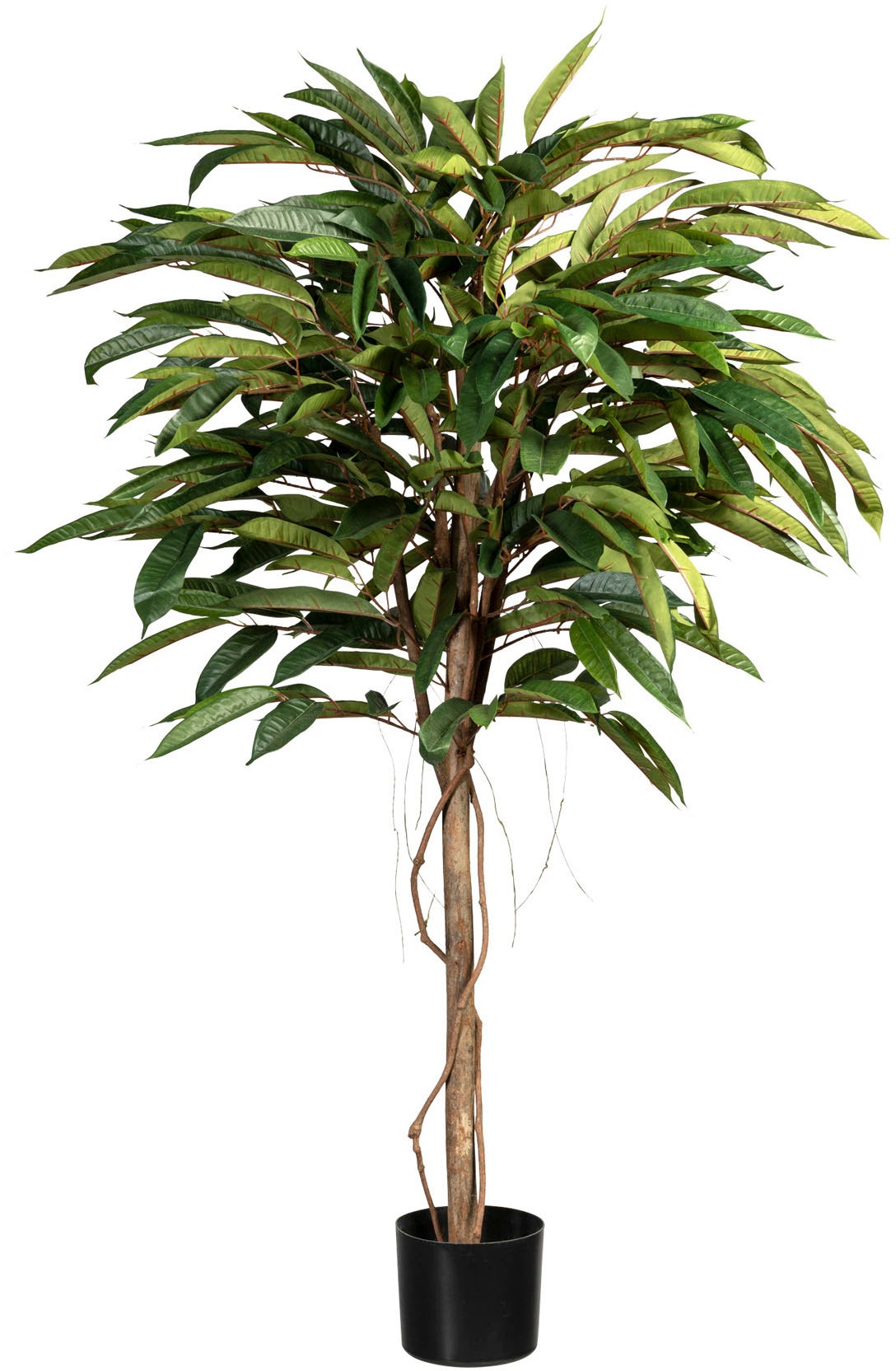 Image of Creativ green Kunstbaum »Ficus Alii de Luxe«, (1 St.) bei Ackermann Versand Schweiz