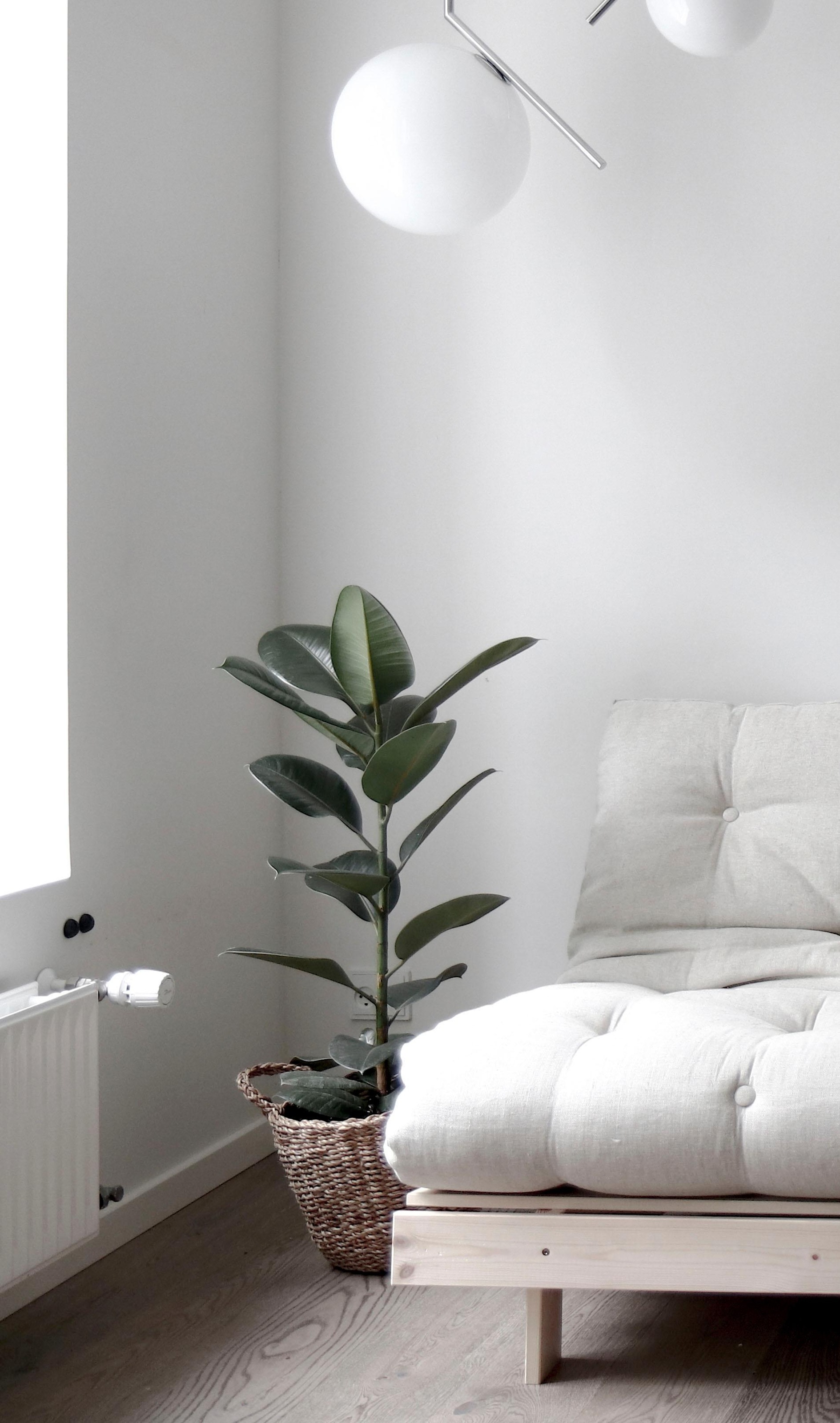 Karup Design Daybett »Daybett Roots Schlafsofa – Gästebett & Sofa aus FSC®-Kiefer«, Inkl. Futonmatratze, in mehreren Grössen & Farben erhältlich