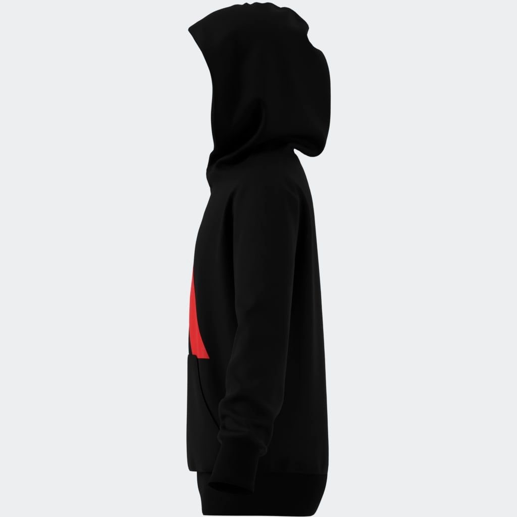adidas Sportswear Sweat à capuche »ESSENTIALS KIDS HOODIE«
