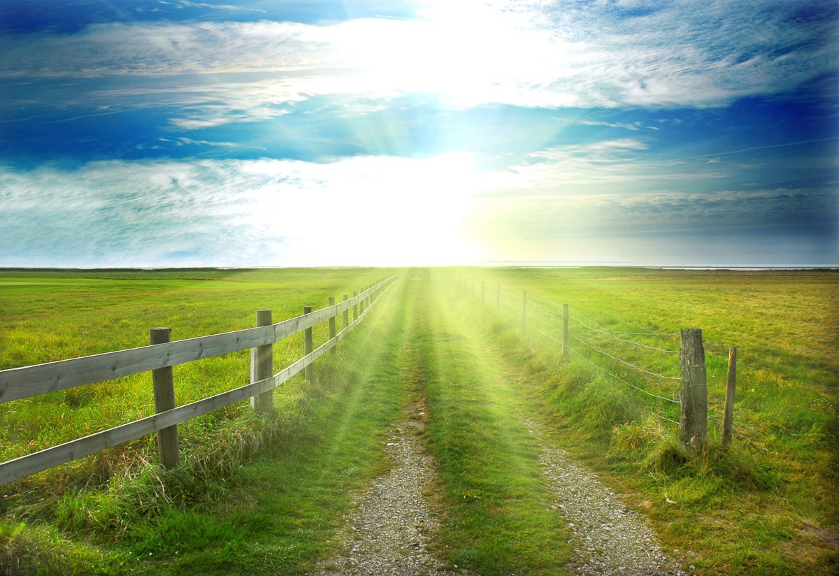 Image of Papermoon Fototapete »Landschaft Meer und Sonne«, Vliestapete, hochwertiger Digitaldruck bei Ackermann Versand Schweiz
