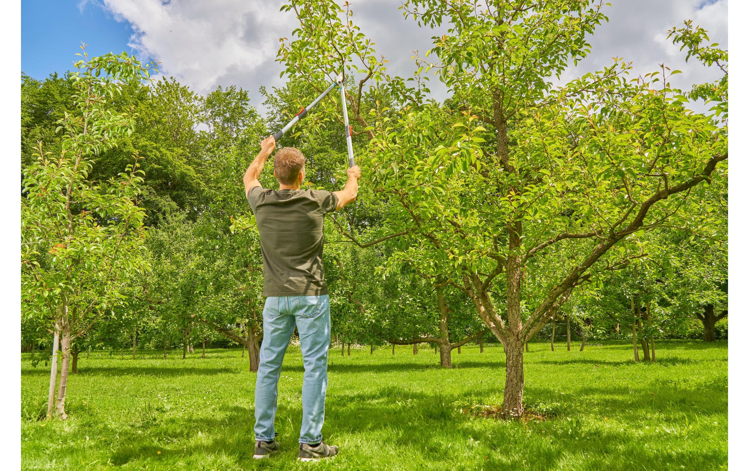 GARDENA Sécateur de jardin »TeleCut Basic«