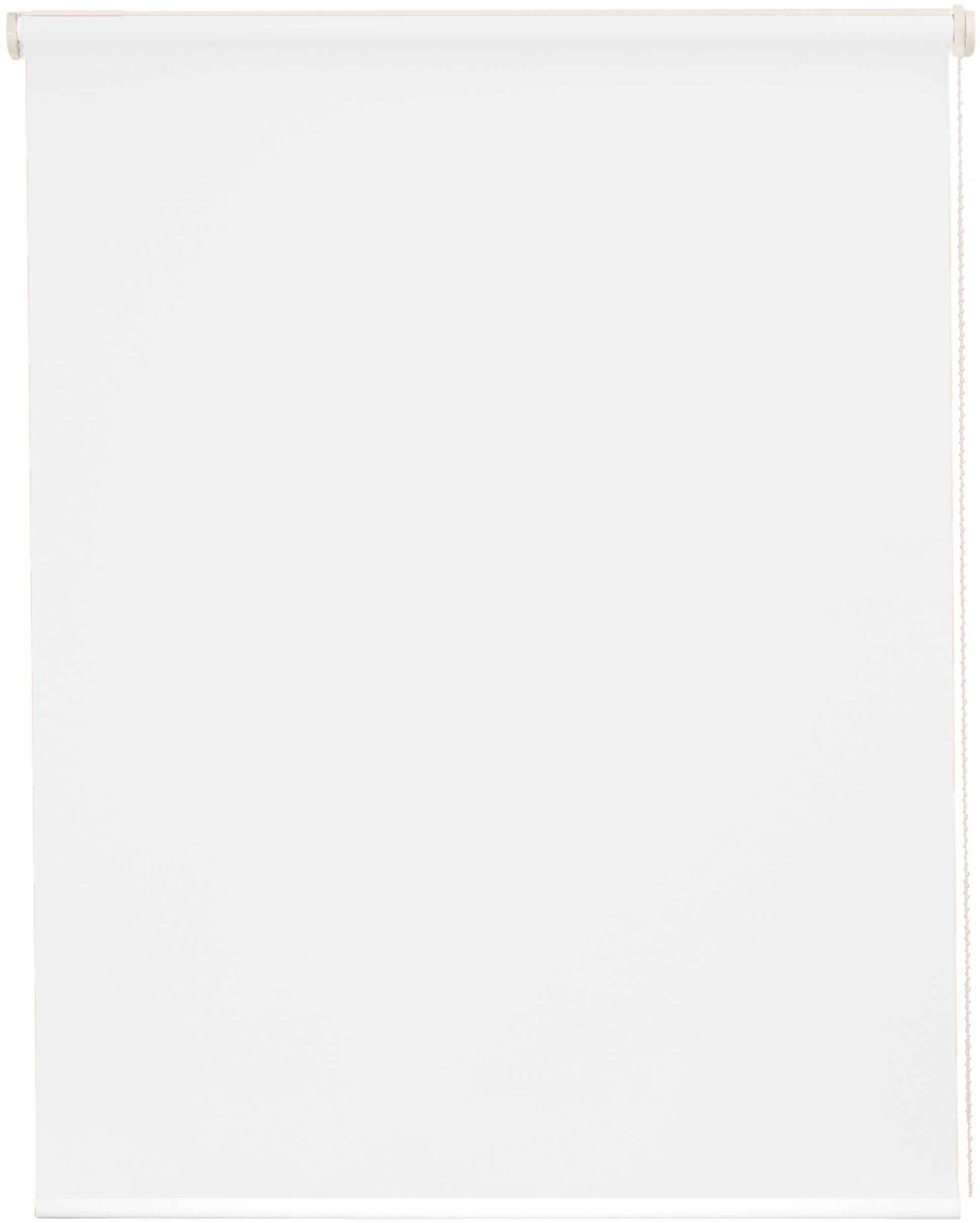 Image of sunlines Seitenzugrollo nach Mass »Premiumstyle Uni«, Lichtschutz, freihängend bei Ackermann Versand Schweiz