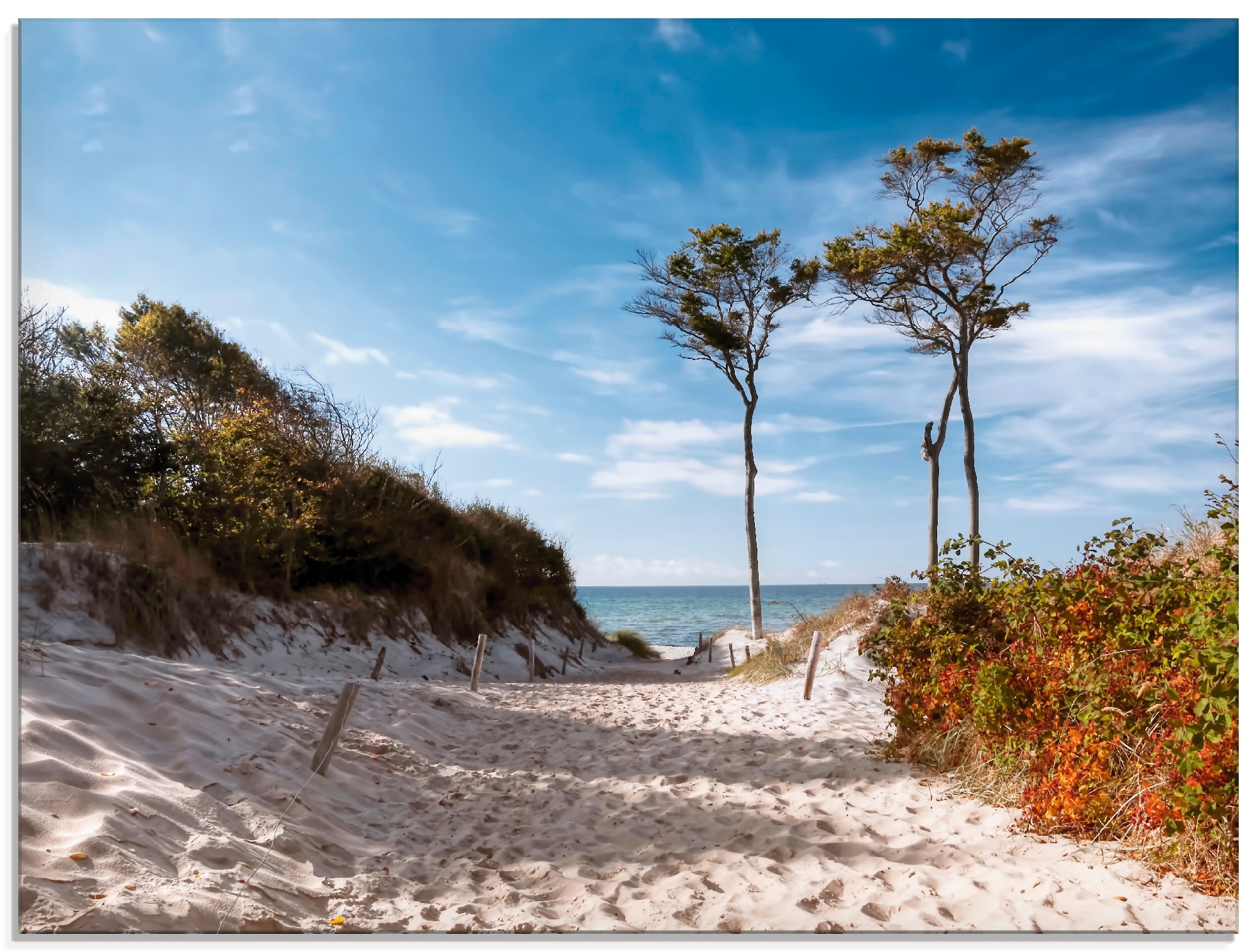 Image of Artland Glasbild "Weststrand Darss" Strand 1 Stk. tlg. in verschiedenen Grössen