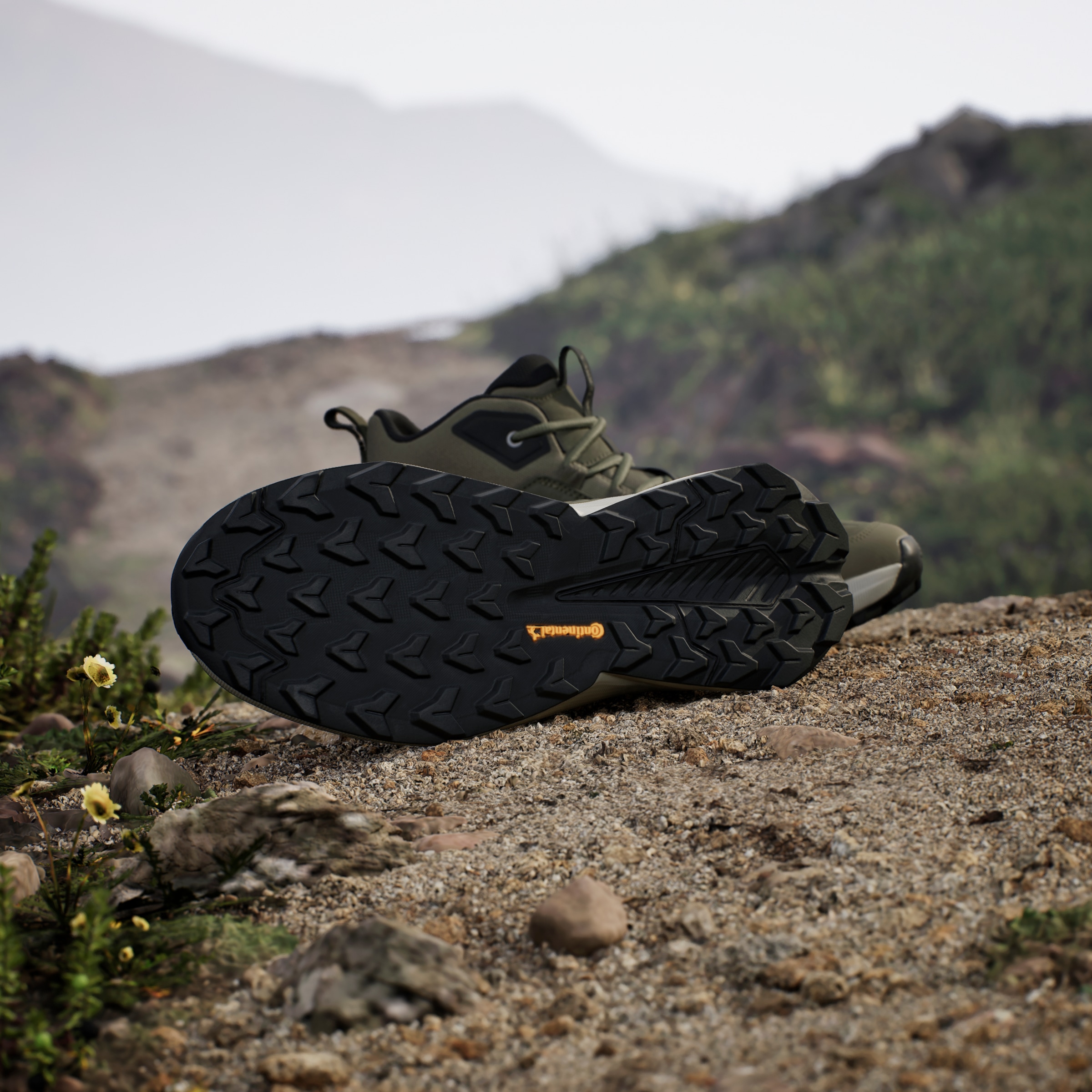 adidas TERREX Wanderschuh »TERREX TRAILMAKER 2.0 LEATHER«