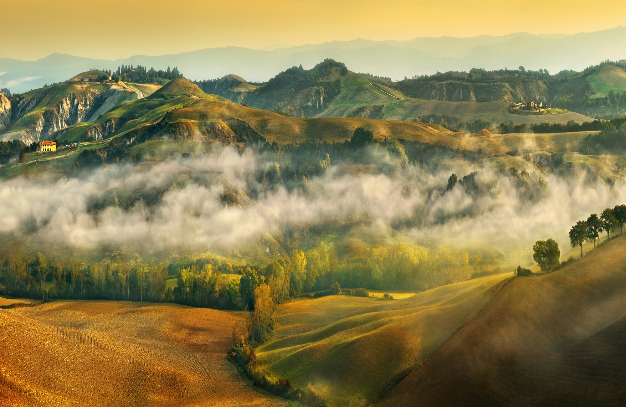 Image of Papermoon Fototapete "Photo-Art KRZYSZTOF BROWKO, HERBST"