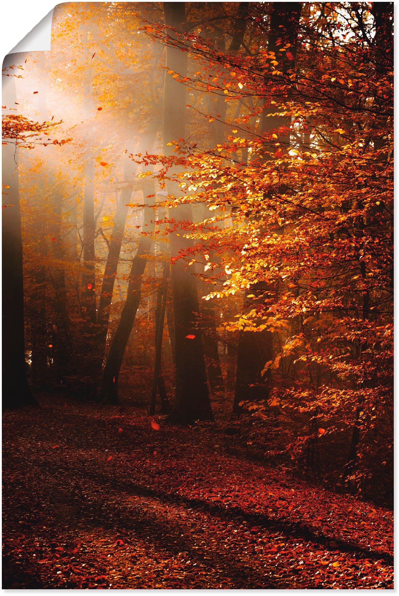 Image of Artland Wandbild "Sonnenaufgang im Herbst" Wald 1 Stk. tlg. als Leinwandbild, Poster in verschied. Grössen