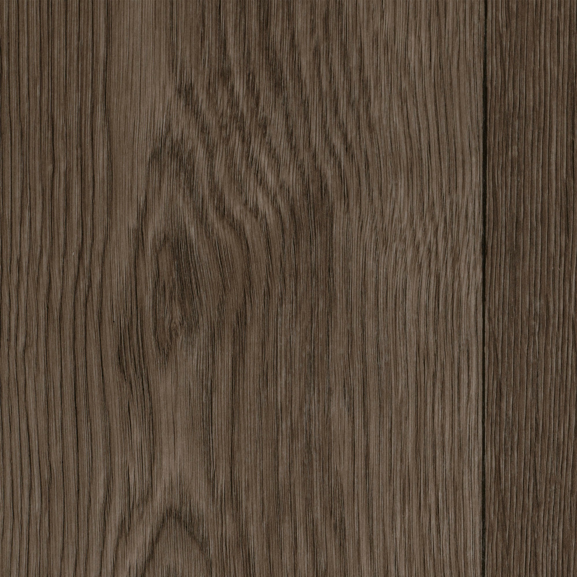 Image of Bodenmeister Vinylboden »PVC Bodenbelag Holzoptik Diele Eiche dunkel-grau«, Meterware, Breite 200/300/400 cm bei Ackermann Versand Schweiz