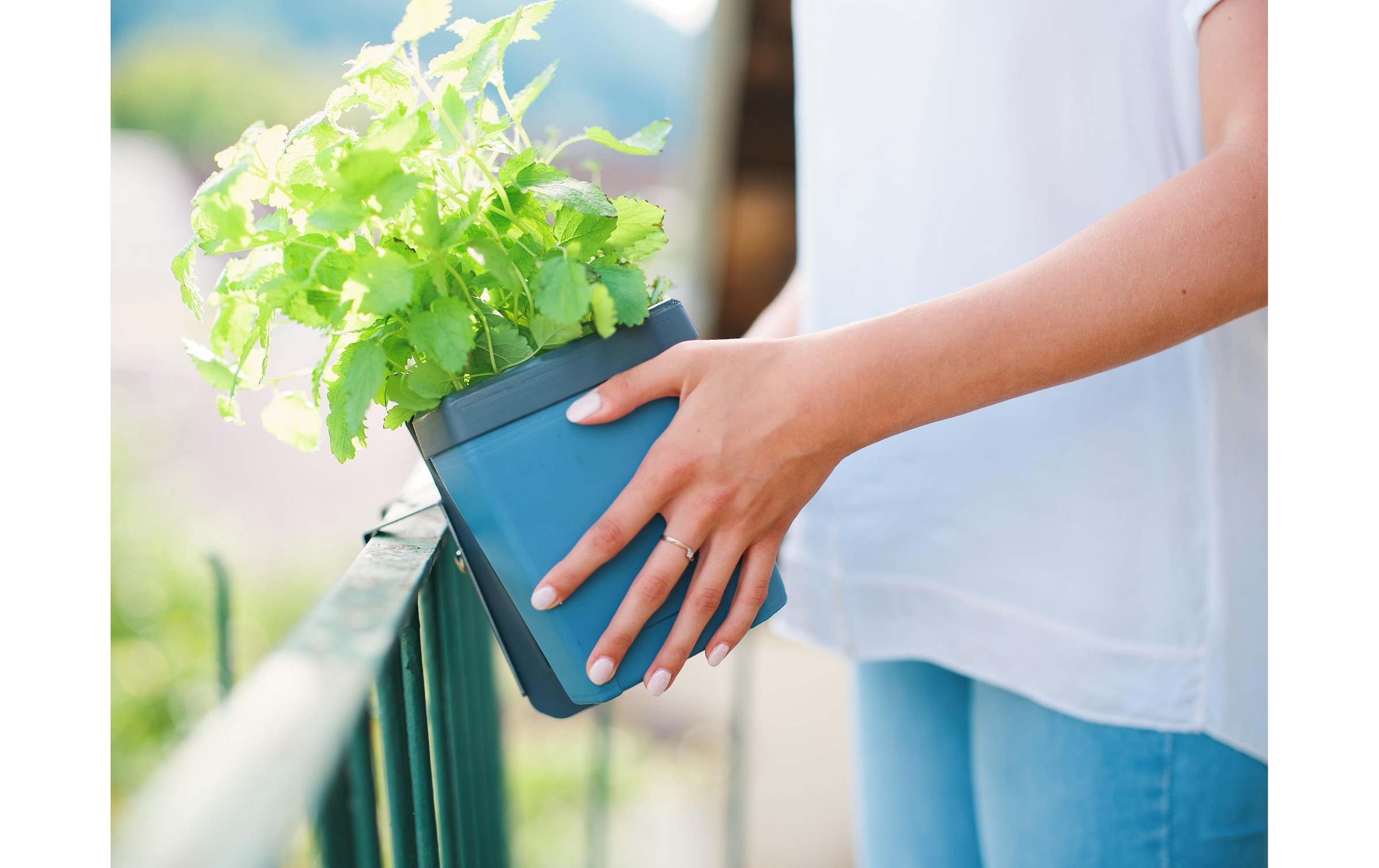 Gusta Garden Blumenkastenhalter »HARRY«