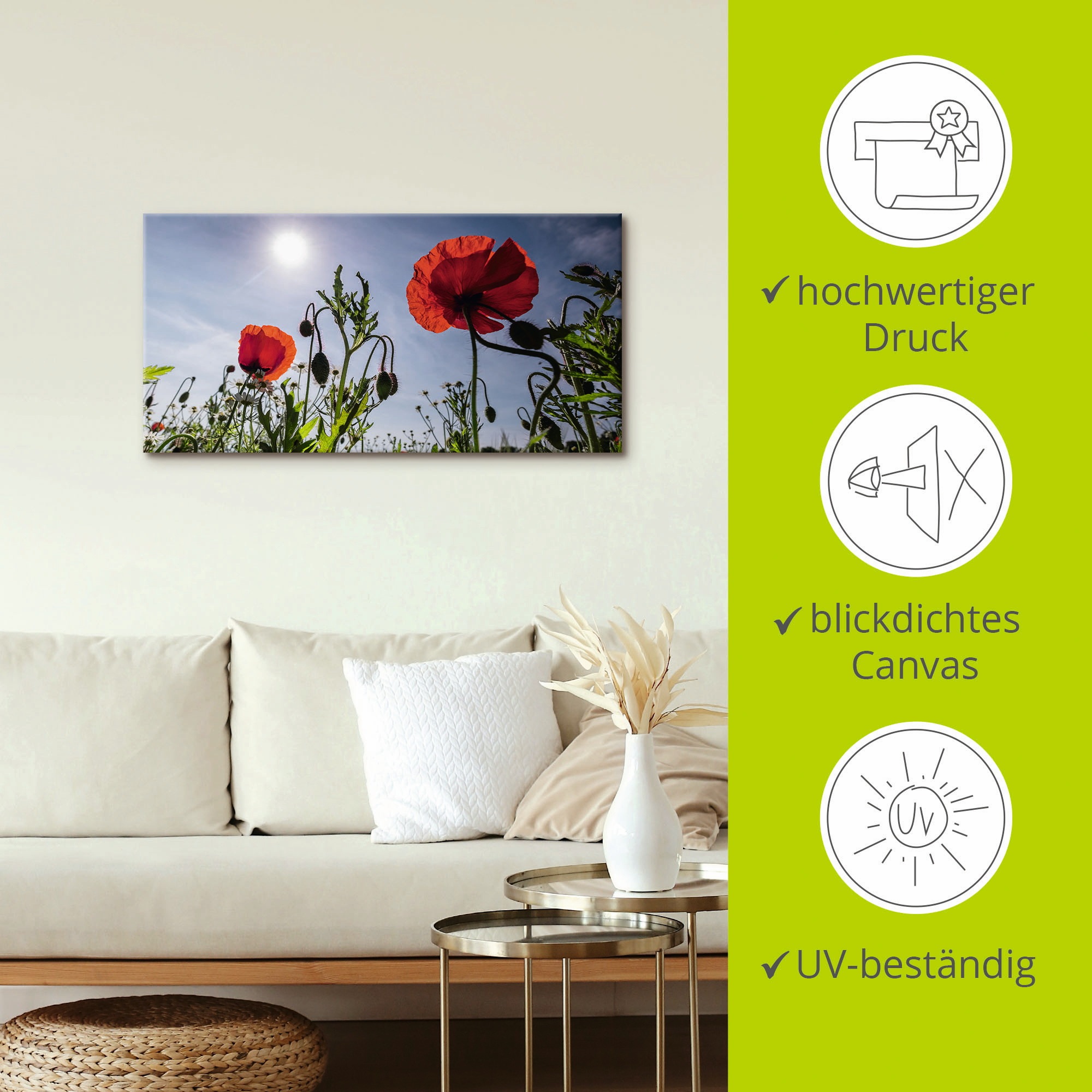 Artland Wandbild »Mohnblumen im Frühling«, Blumenwiese, (1 St.), als Alubild, Outdoorbild, Leinwandbild in verschied. Grössen
