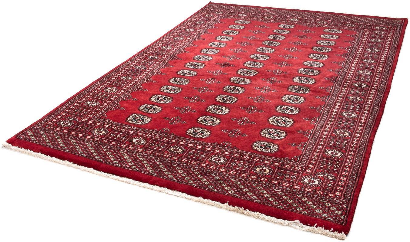 Image of morgenland Orientteppich »Afghan - Buchara - 243 x 171 cm - dunkelrot«, rechteckig, 7 mm Höhe, Wohnzimmer, Handgeknüpft, Einzelstück mit Zertifikat bei Ackermann Versand Schweiz