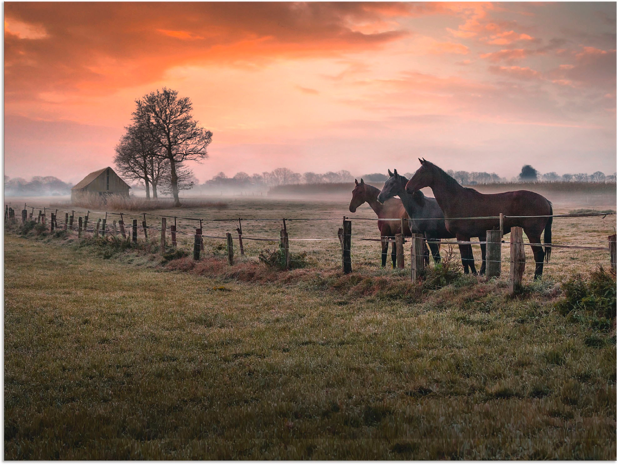 Image of Artland Wandbild »Edele Zaungäste....«, Haustiere, (1 St.), in vielen Grössen & Produktarten - Alubild / Outdoorbild für den Aussenbereich, Leinwandbild, Poster, Wandaufkleber / Wandtattoo auch für Badezimmer geeignet bei Ackermann Versand Schweiz