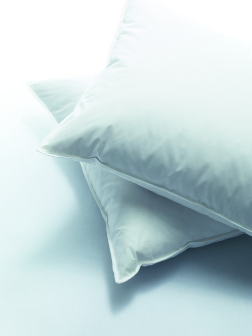 Image of billerbeck Kopfkissen »Standard 150«, Füllung: 30% neue, europäische Gänsedaunen, weiss, 70% Federchen, VSB-Norm, Bezug: 100% Baumwolle, (1 St.) bei Ackermann Versand Schweiz