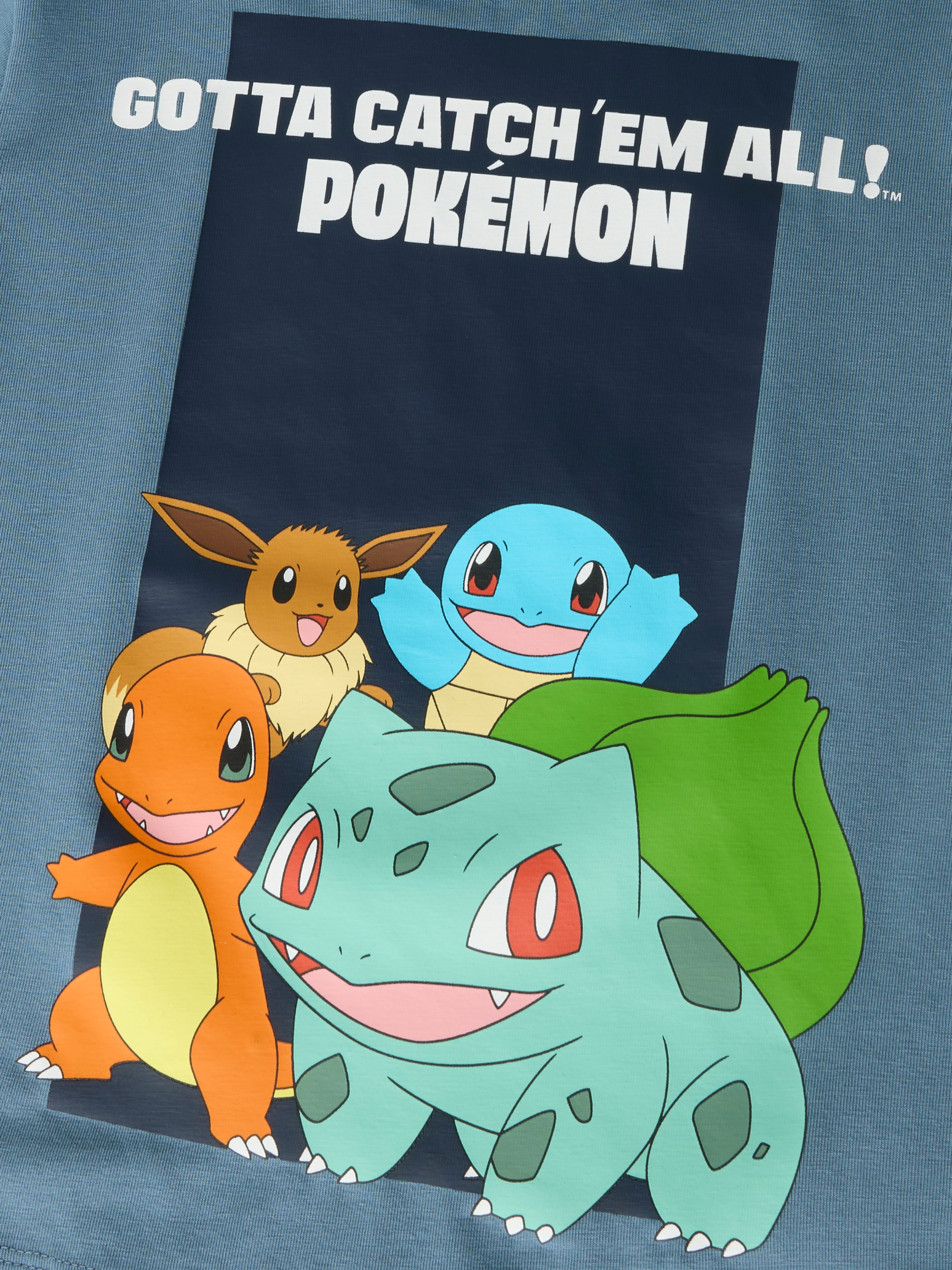 Name It Langarmshirt »NMMSOUTH POKEMON LS NREG TOP NOOS BFU« Baumwollmischung, regular fit, mit Pokemon Druck