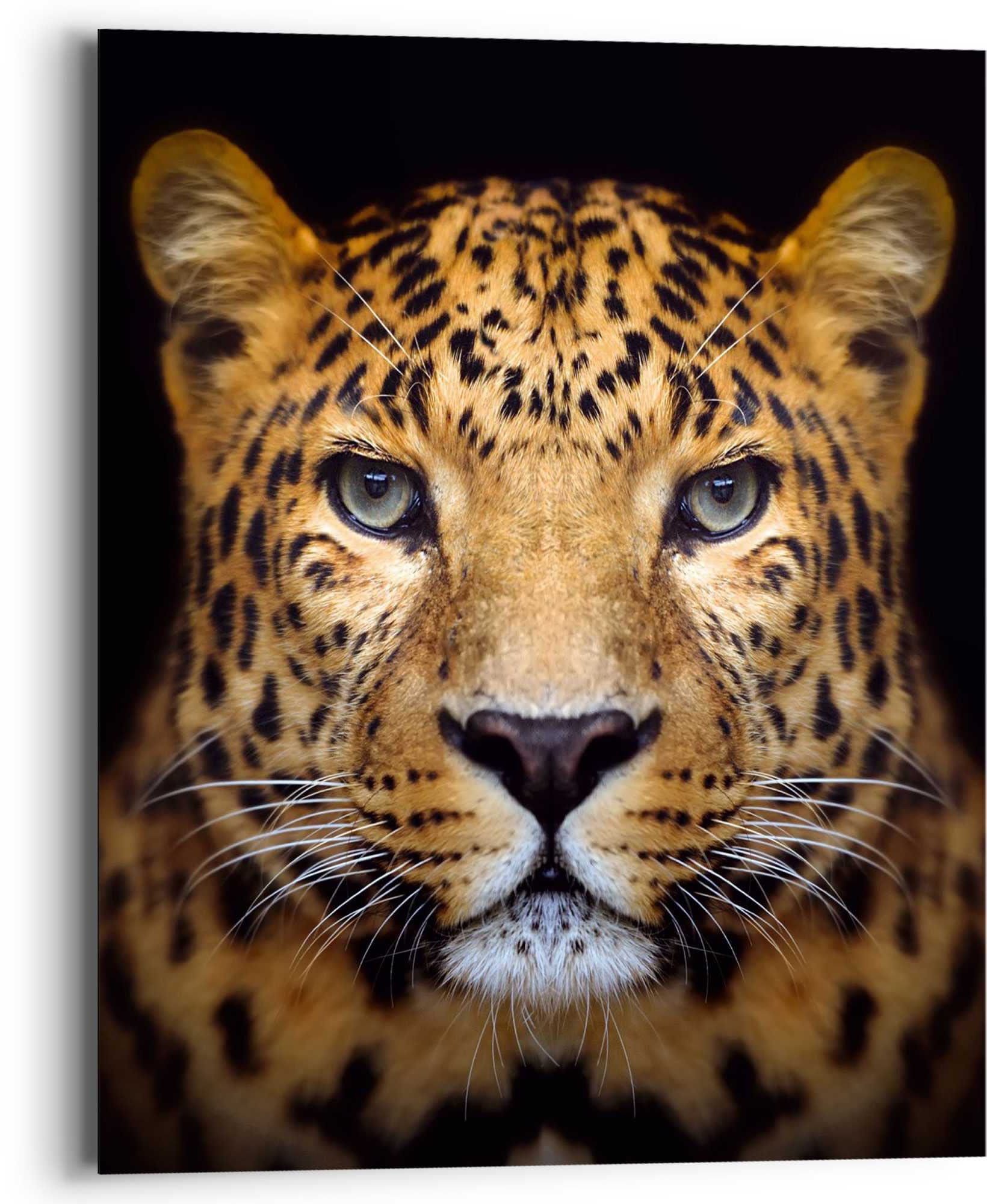 Image of Reinders Wandbild "Wandbild Leopard Kräftig - Panther - Raubetier - Gefleckt" Leopard 1 Stk. tlg.