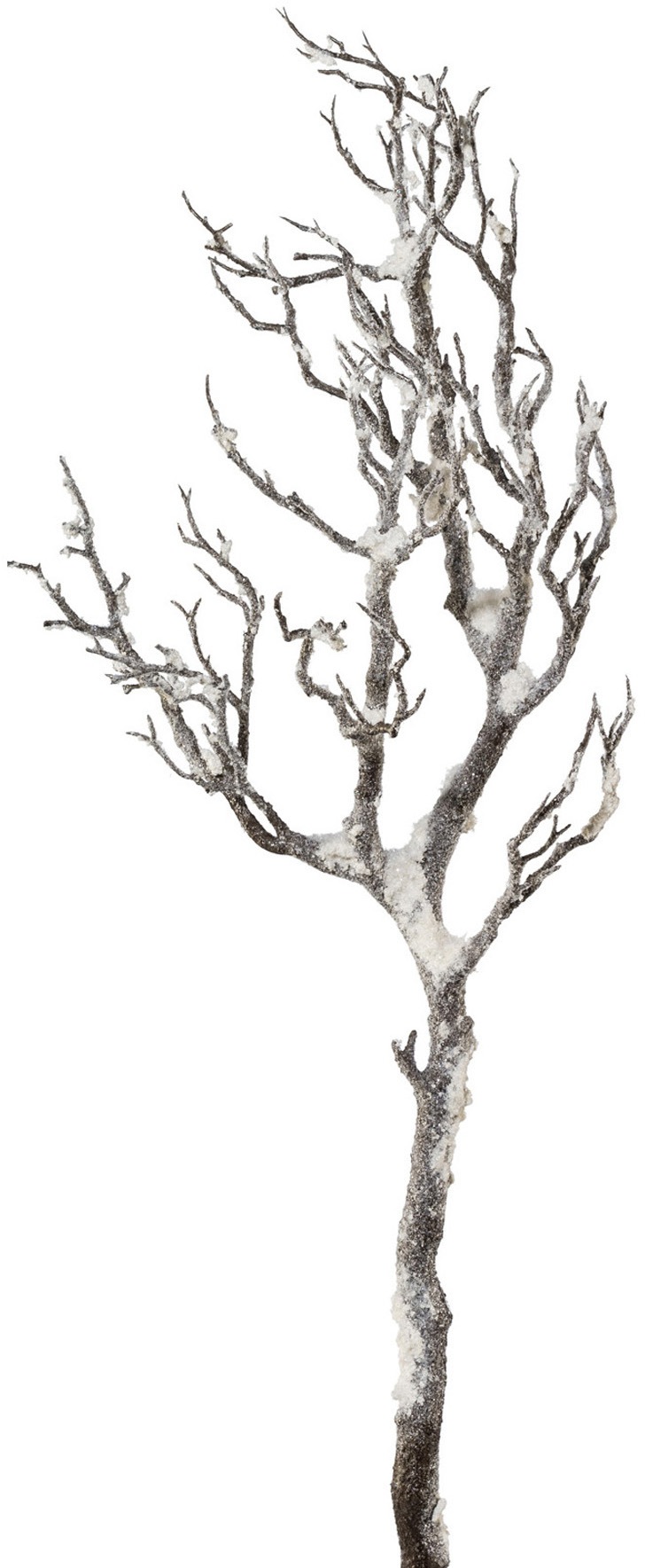 Image of Creativ deco Kunstzweig, Beschneite Optik bei Ackermann Versand Schweiz