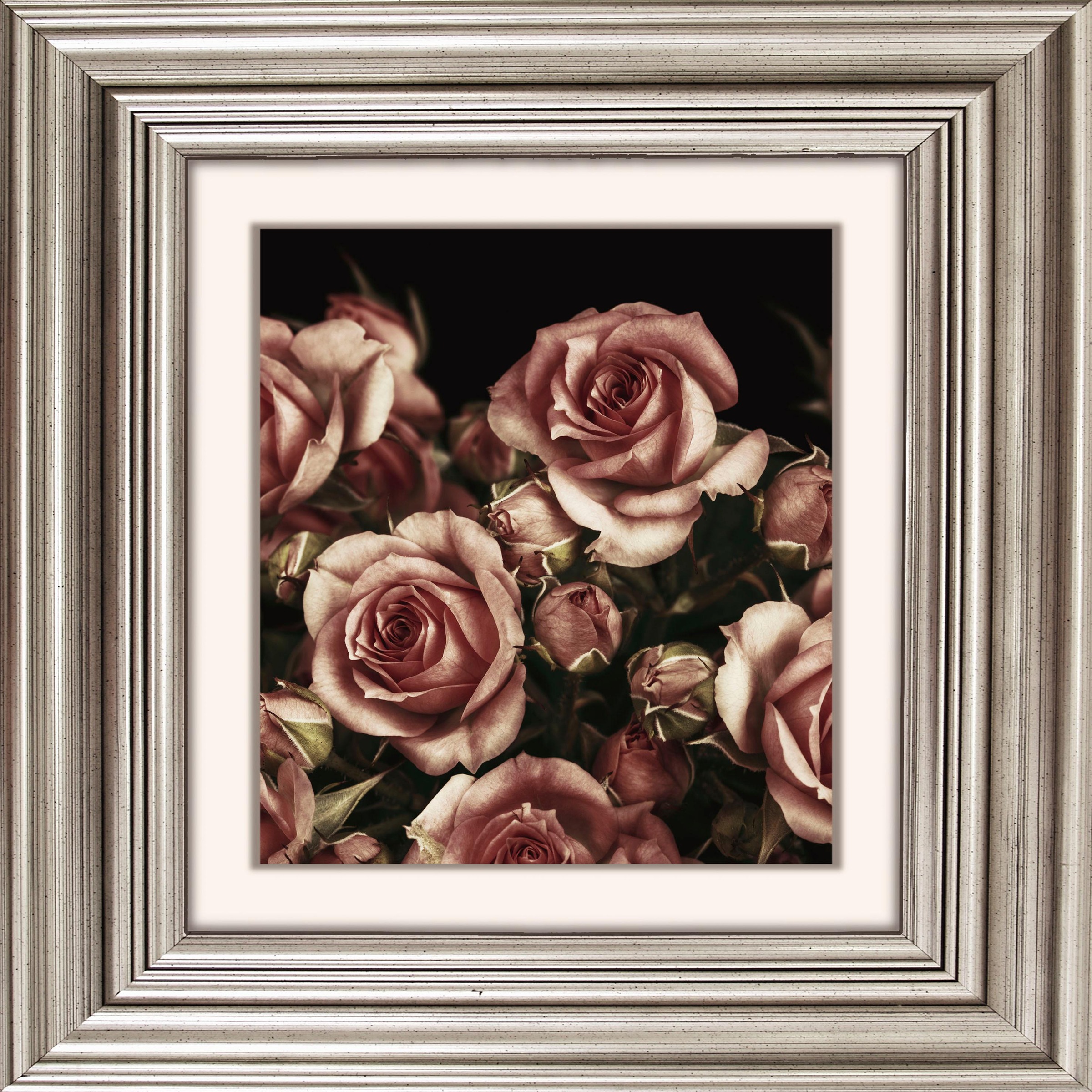 Image of queence Acrylglasbild "Rosen Blüten" Blumen Blumenbilder Gemälde Kunst Pflanzen Pflanzenbilder Fine Art-Print in Galeriequalität