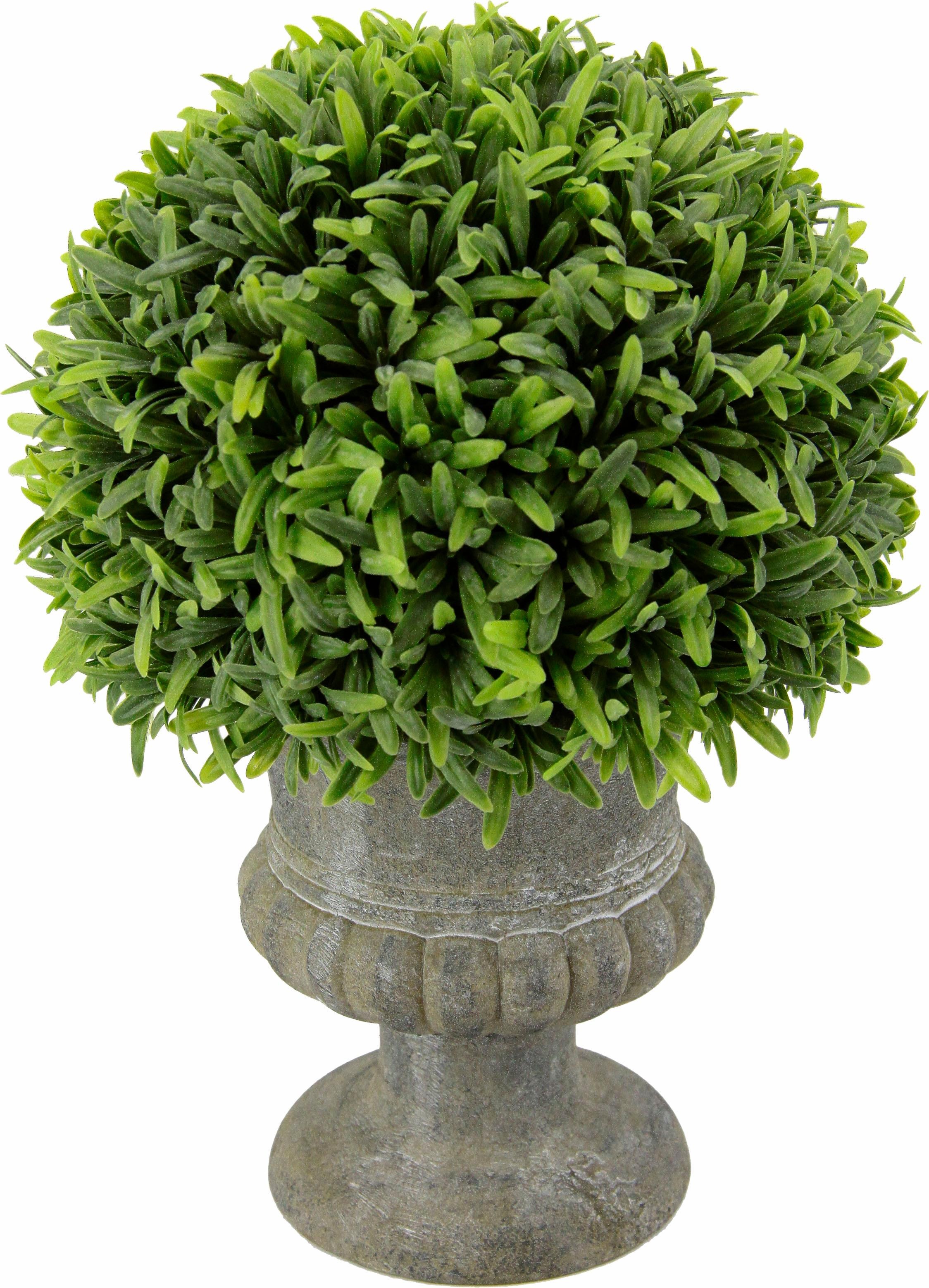 Image of I.GE.A. Kunstpflanze »Grashalbkugel in Pokal 25 cm«, (1 St.) bei Ackermann Versand Schweiz