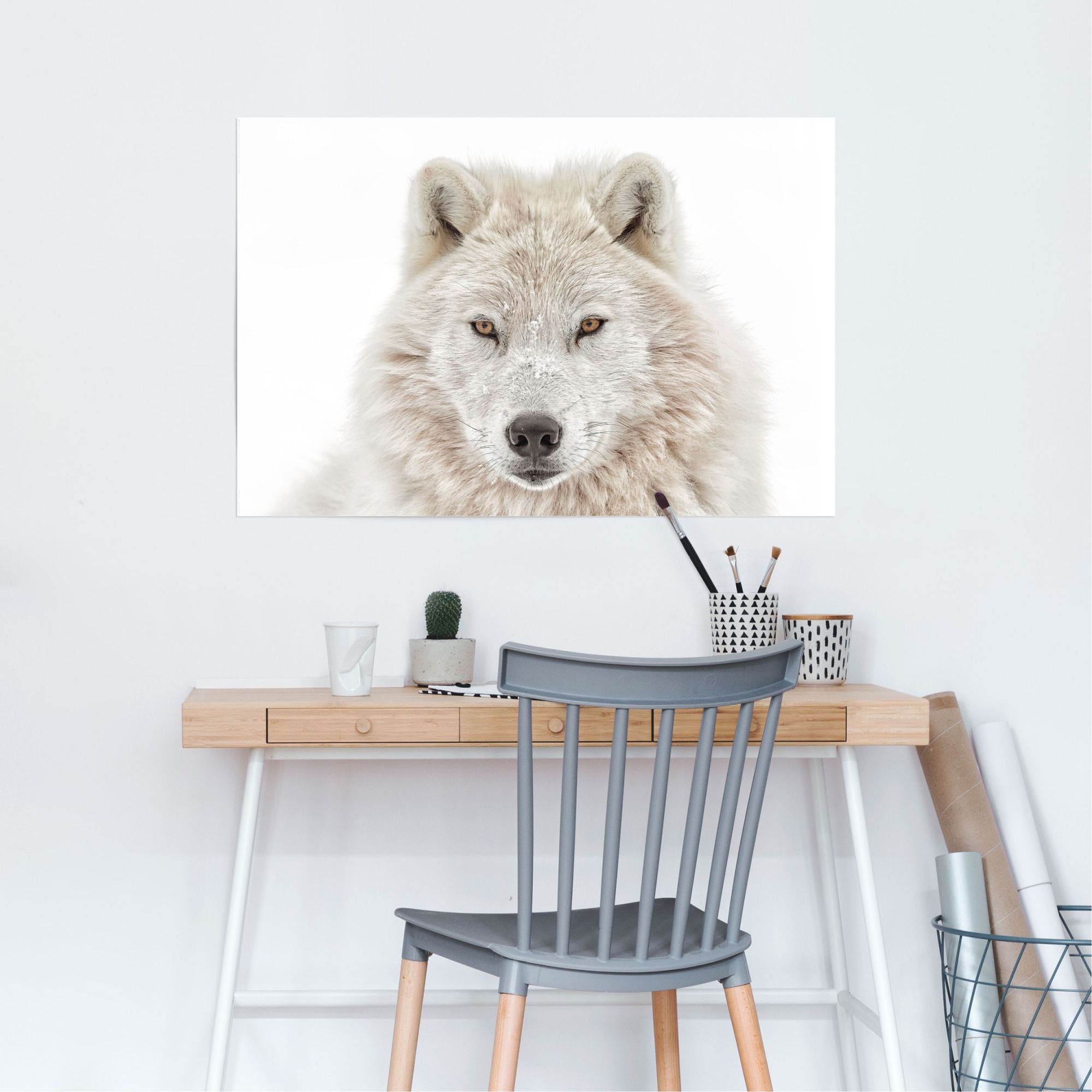 ♕ Reinders! Poster »Weisser Wolf«, (1 St.) versandkostenfrei auf | Kunstdrucke